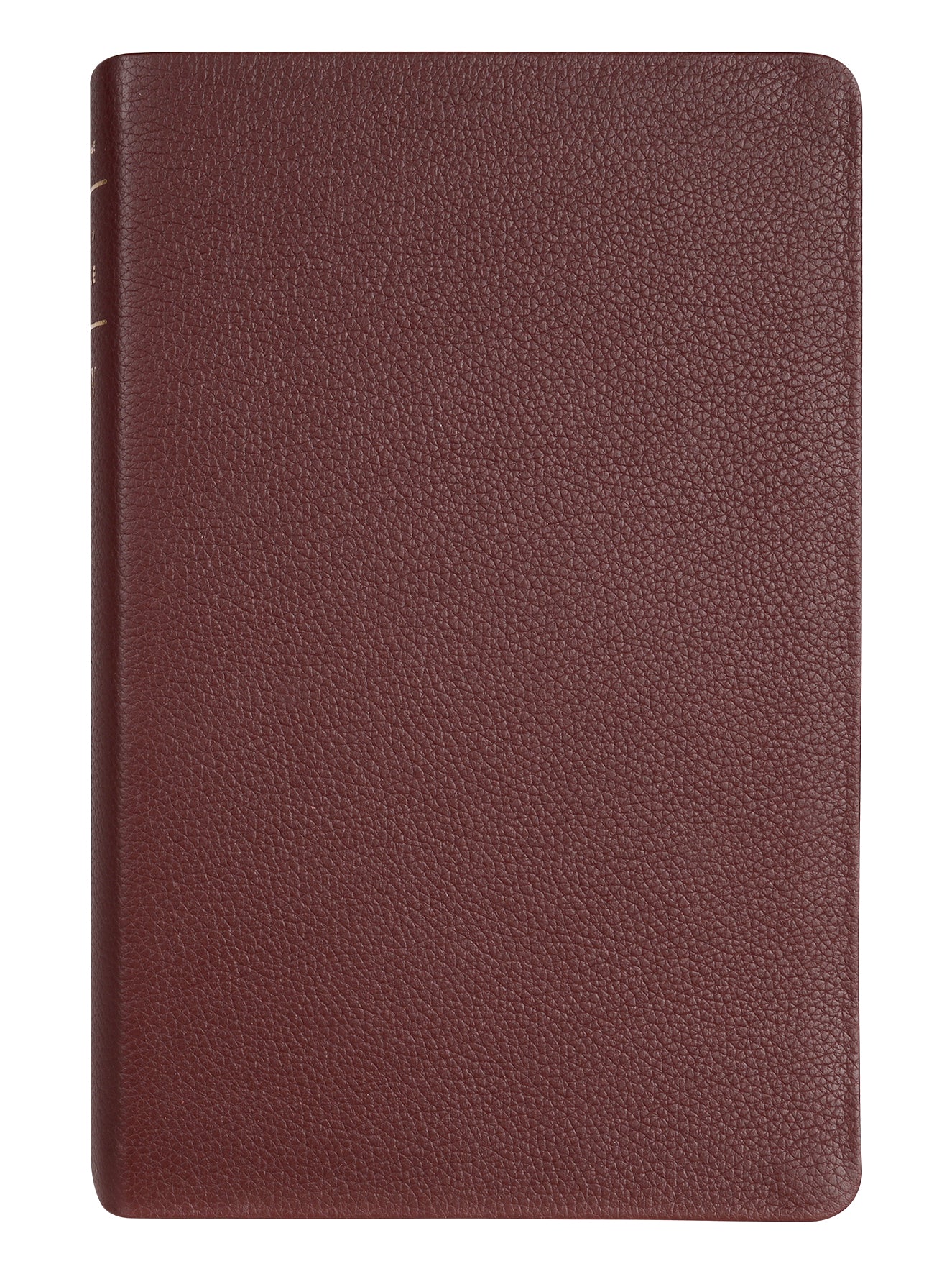 KJV Personal Size Giant Print Bible Filament Enabled Edition Burgundy (Red Letter Edition)