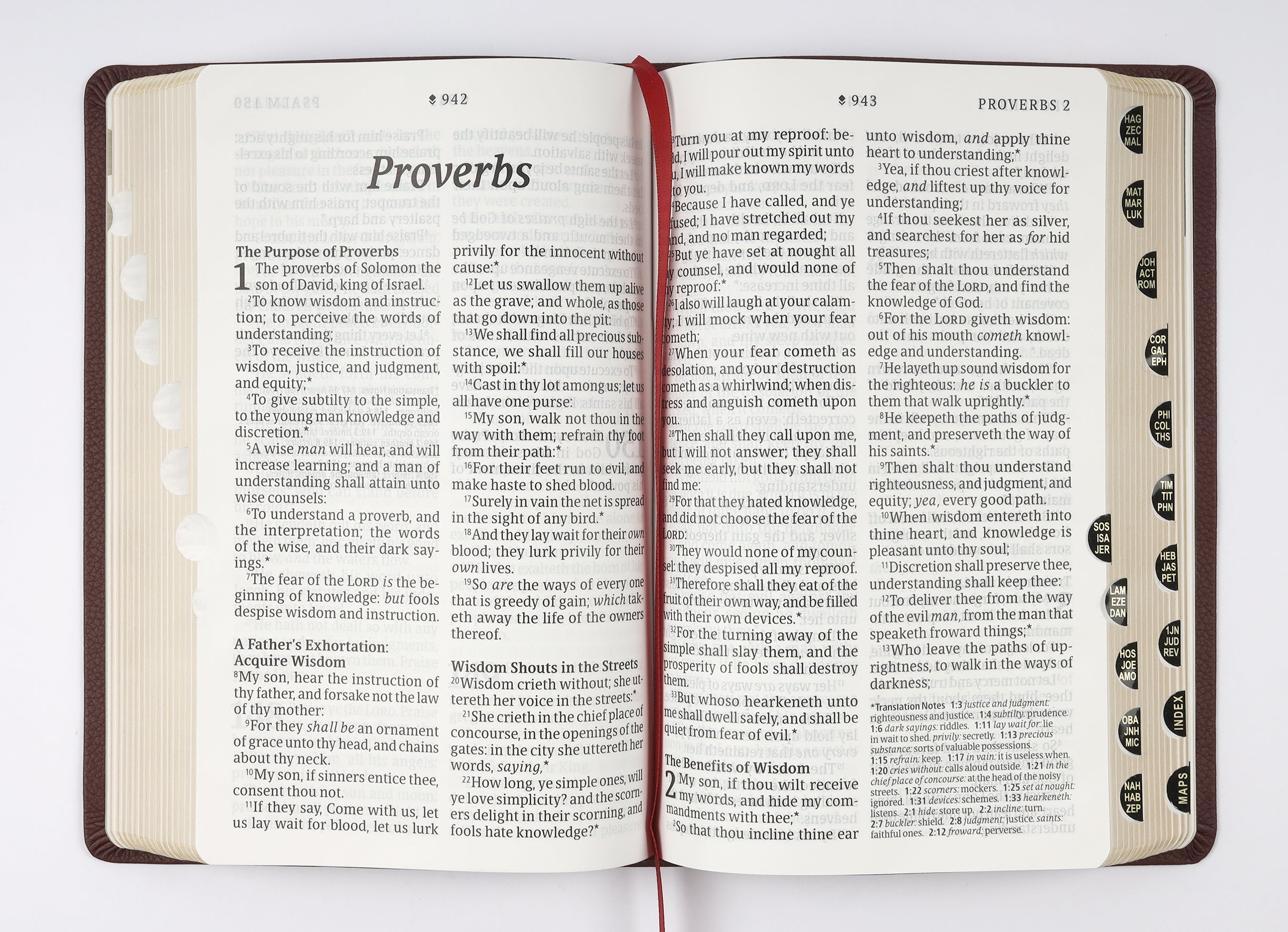 KJV Personal Size Giant Print Bible Filament Enabled Edition Indexed Burgundy (Red Letter Edition)
