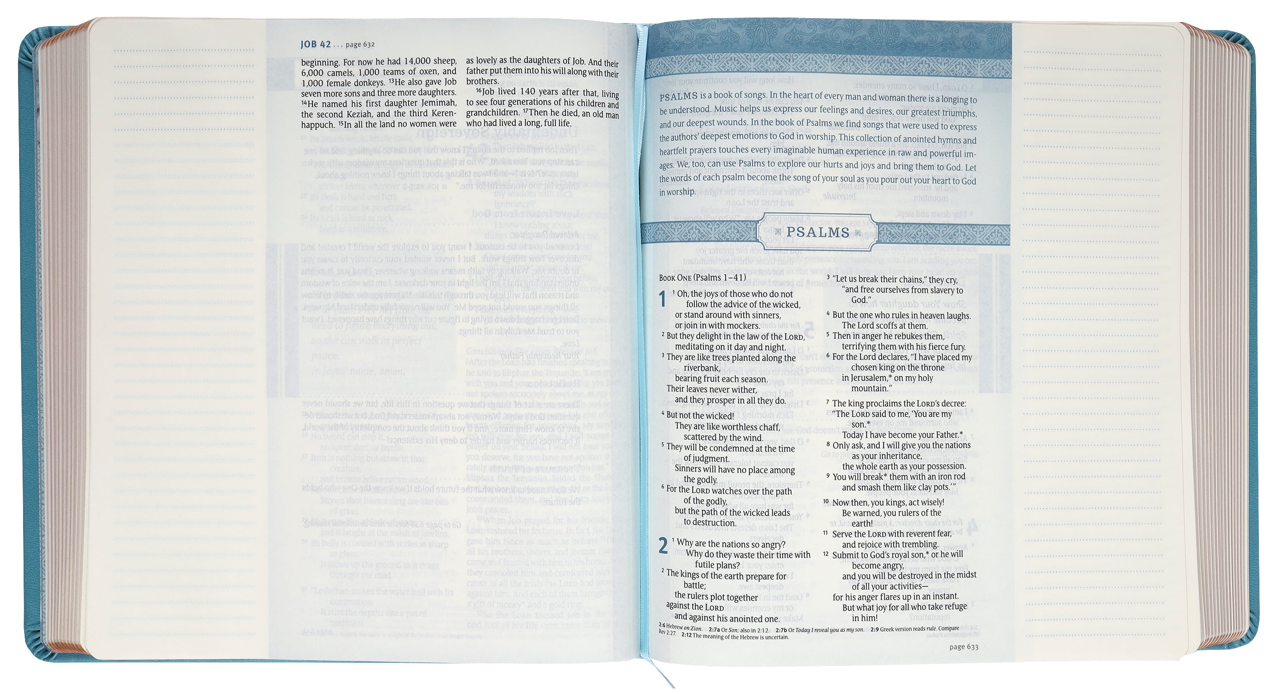 NLT Thrive Creative Journaling Devotional Bible Teal Blue With Rose Gold (Black Letter Edition)