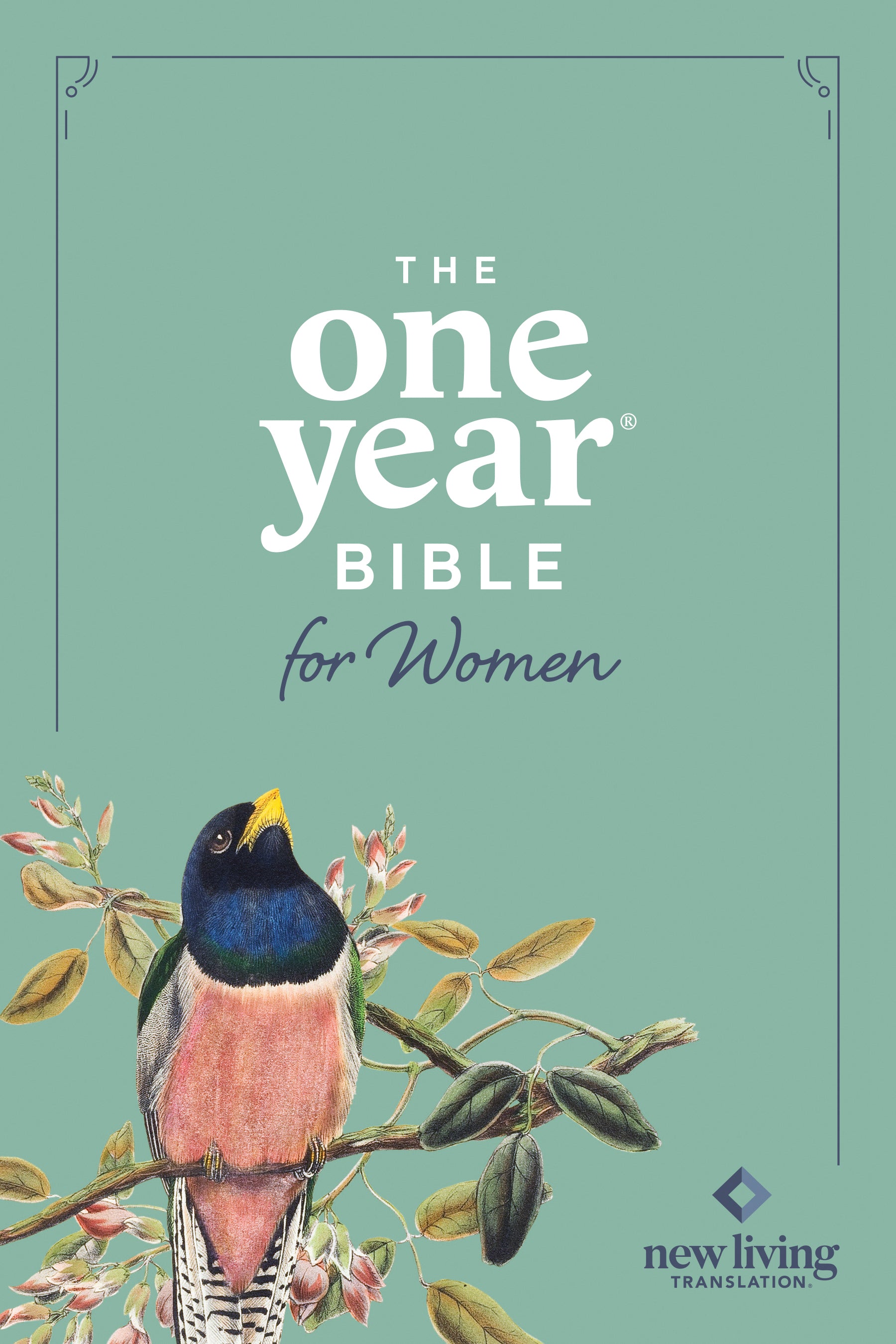 NLT the One Year Bible For Women