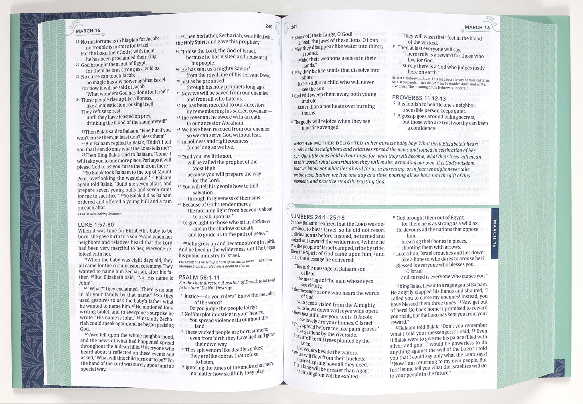 NLT the One Year Bible For Women