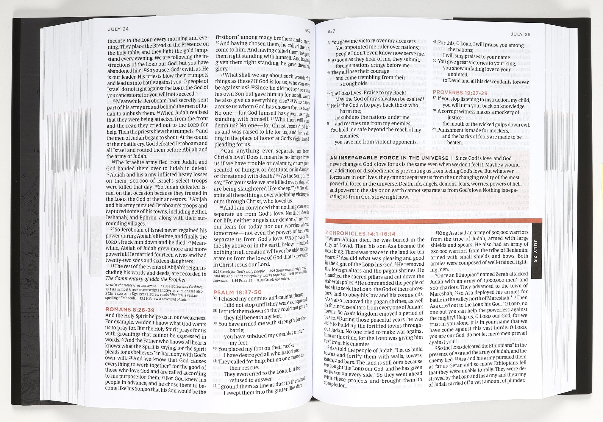 NLT the One Year Bible For Men