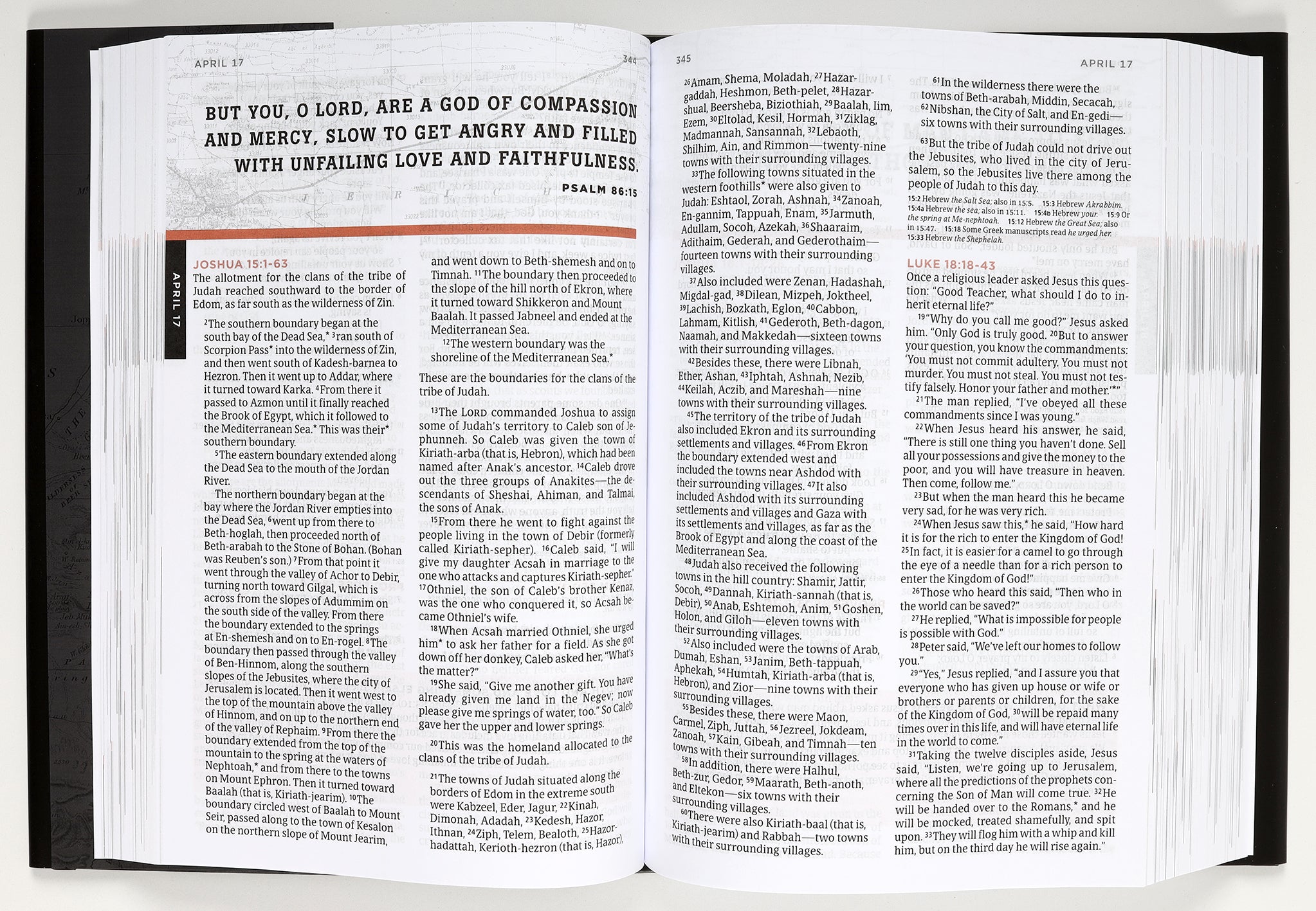 NLT the One Year Bible For Men