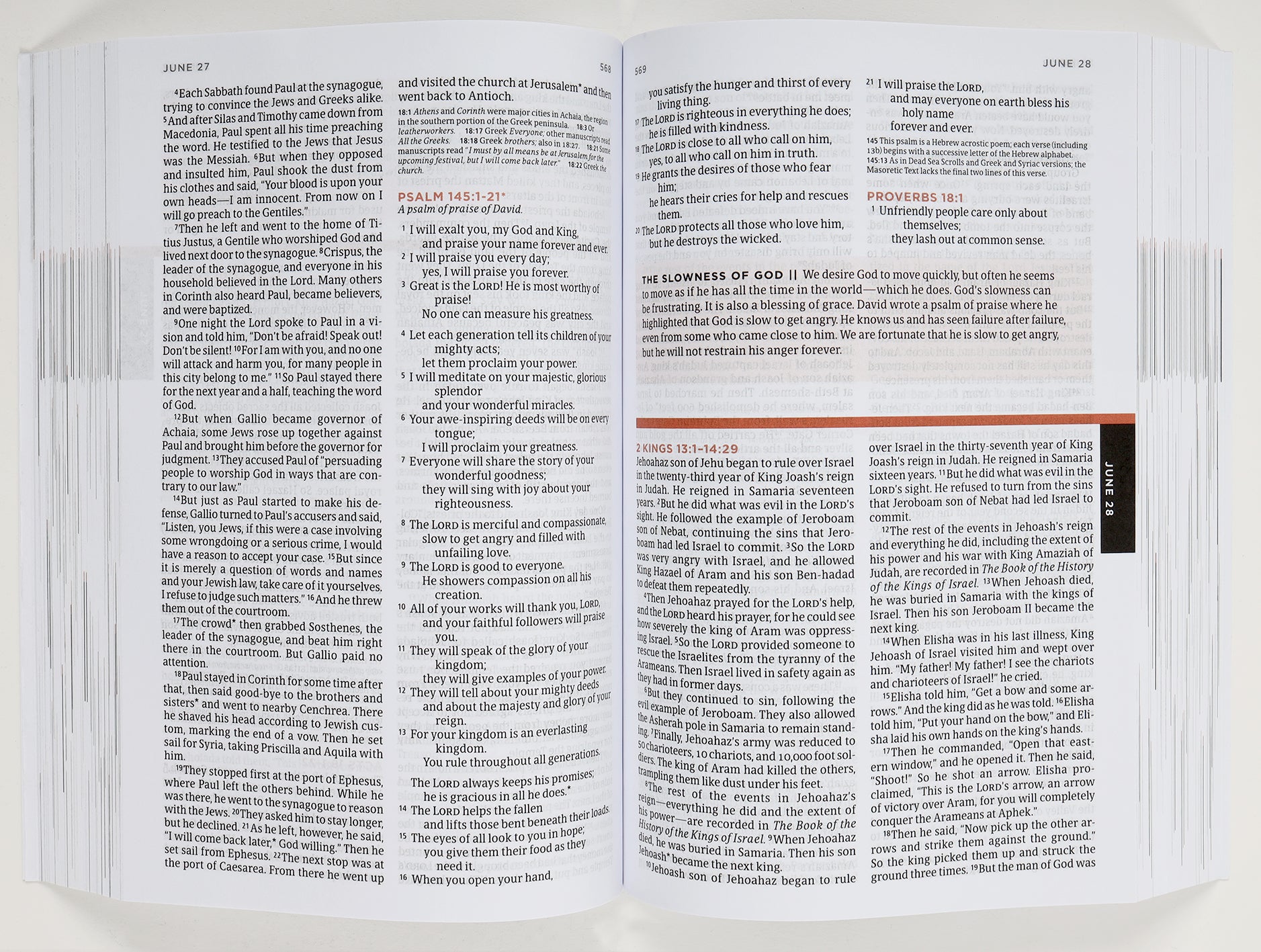 NLT the One Year Bible For Men