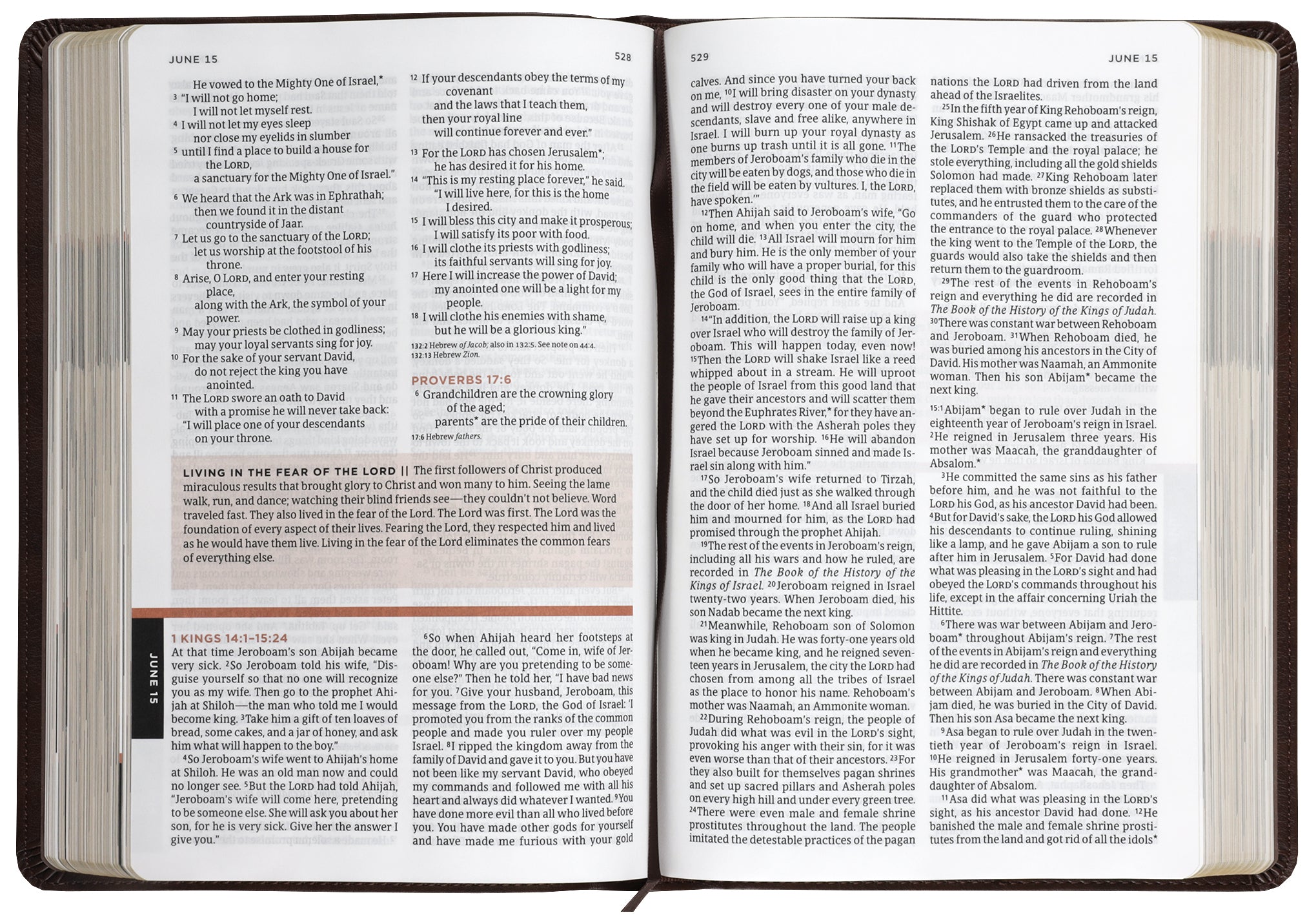 NLT The One Year Bible for Men, Rustic Brown Mountain