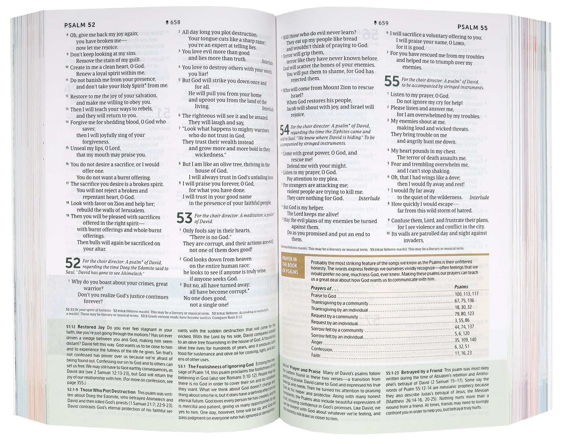 NLT Student Life Application Study Bible Filament Enabled Edition (Red Letter Edition)