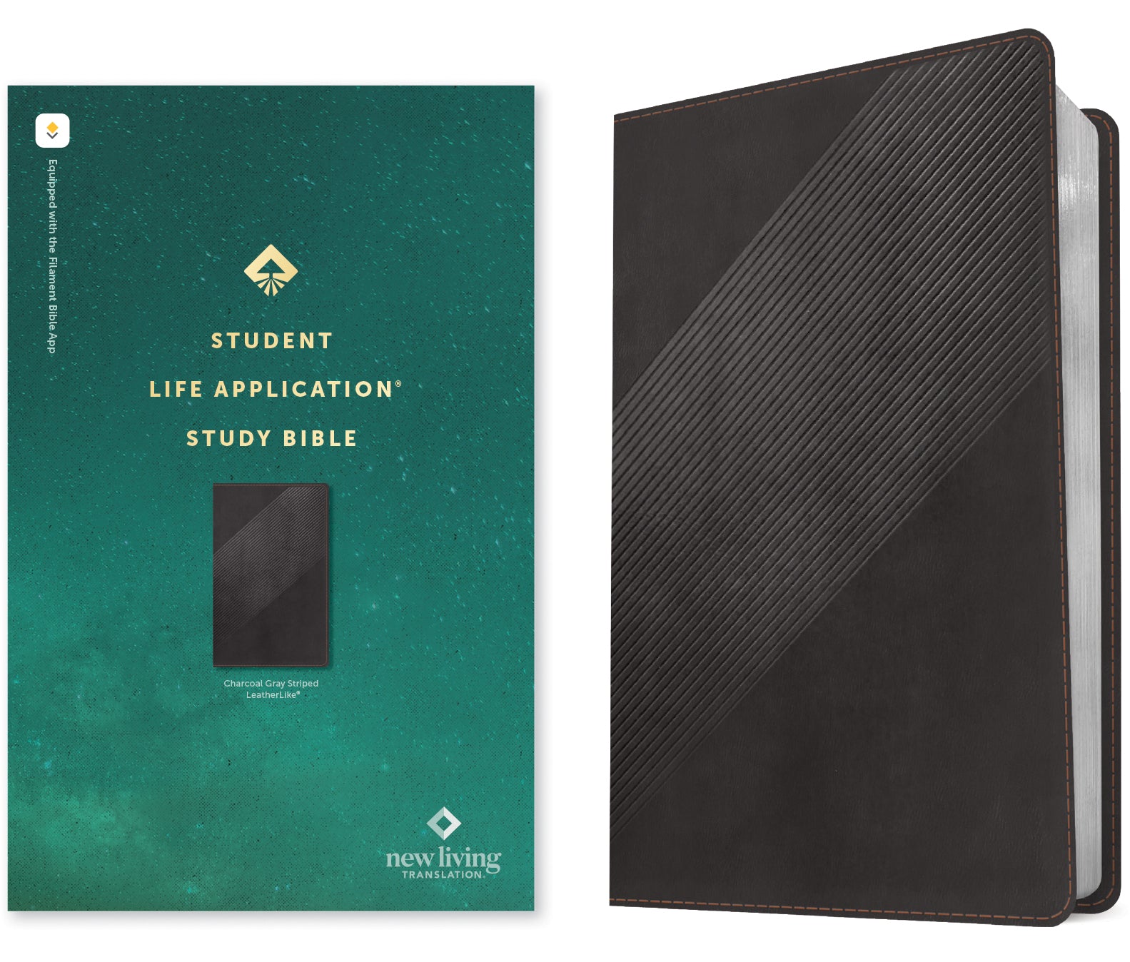 NLT Student Life Application Study Bible Filament Enabled Edition Charcoal Gray Striped (Red Letter Edition)