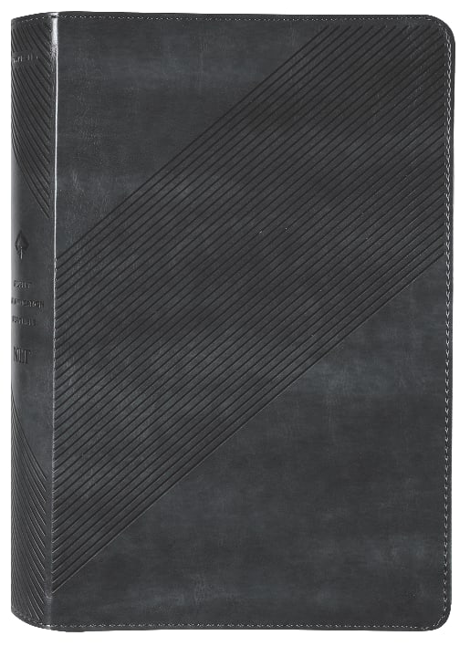 NLT Student Life Application Study Bible Filament Enabled Edition Charcoal Gray Striped (Red Letter Edition)