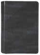 NLT Student Life Application Study Bible Filament Enabled Edition Charcoal Gray Striped (Red Letter Edition)