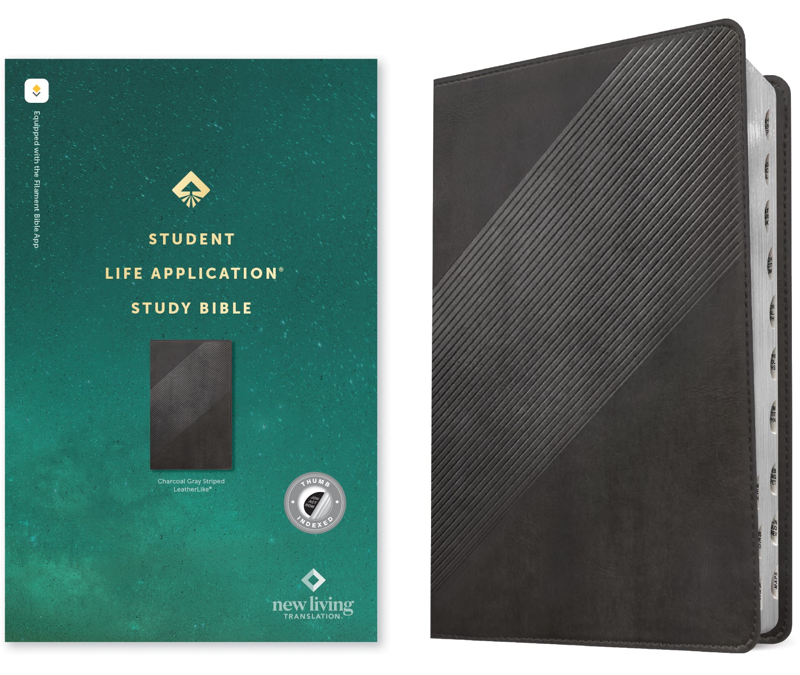 NLT Student Life Application Study Bible Filament Enabled Edition Charcoal Gray Striped Indexed (Red Letter Edition)