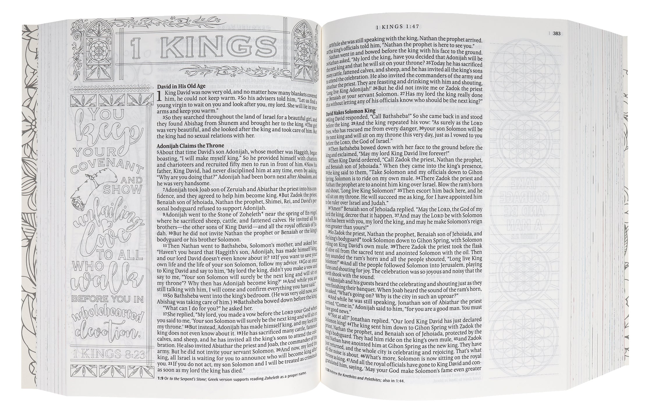 NLT Inspire Praise Bible Purple Garden