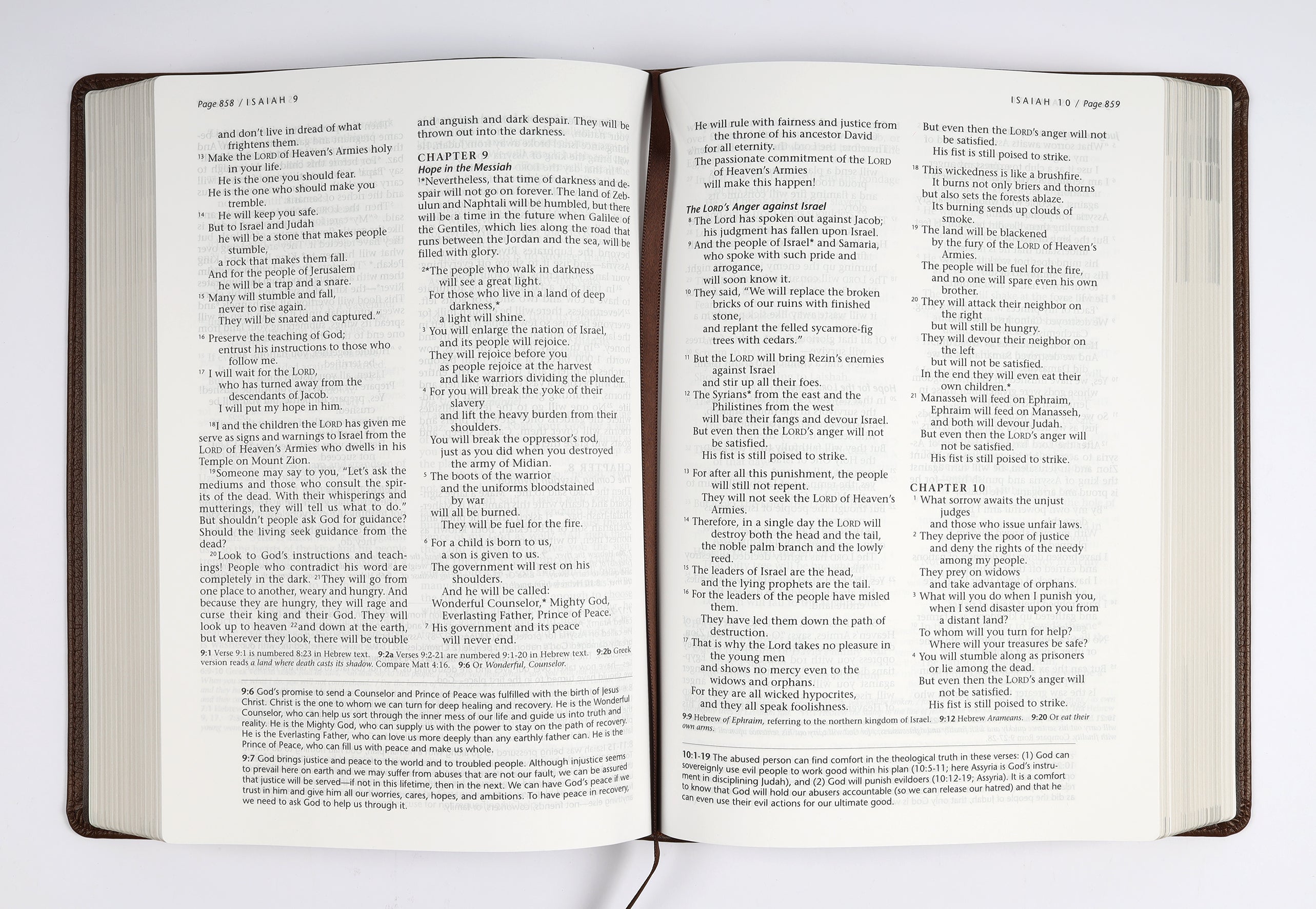 NLT Life Recovery Bible Second Edition Rustic Brown