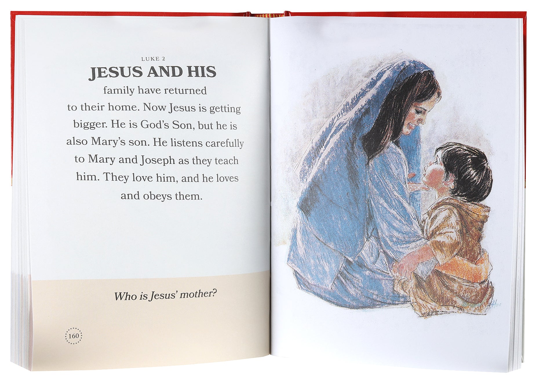 My First Bible in Pictures (30th Annivarsary Edition)