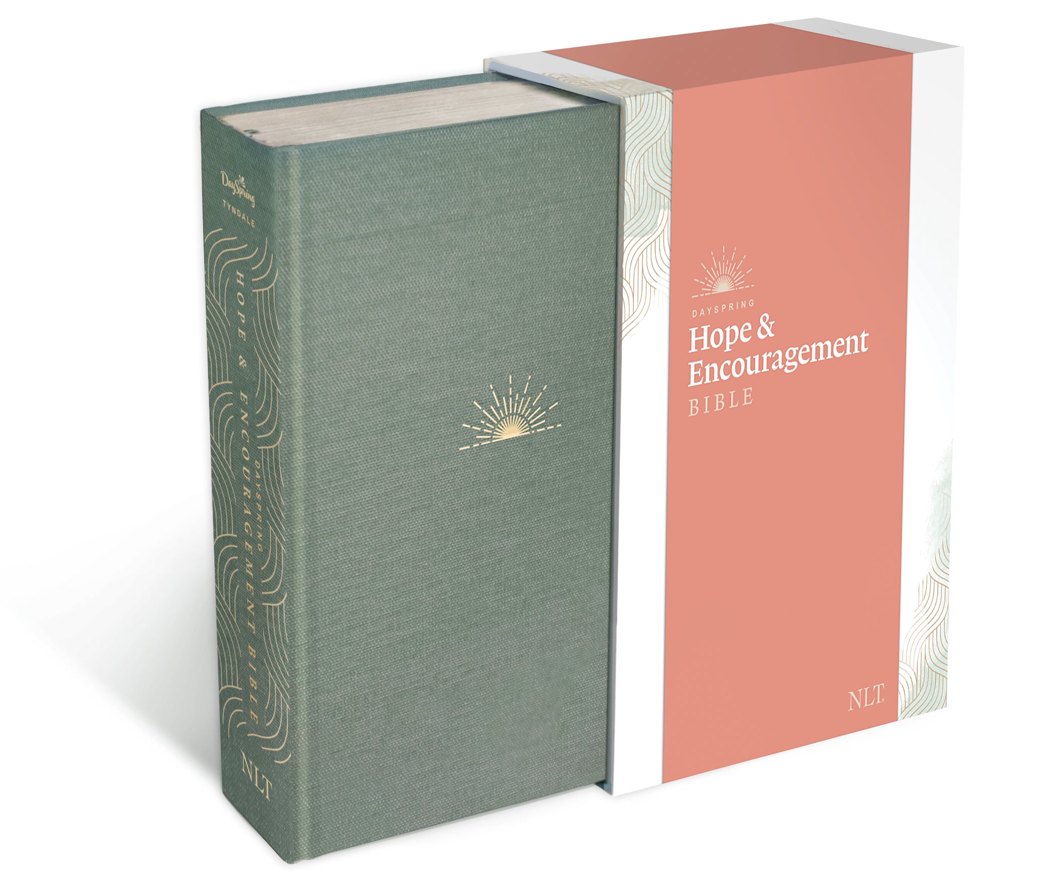 NLT Dayspring Hope & Encouragement Bible Seafoam Green