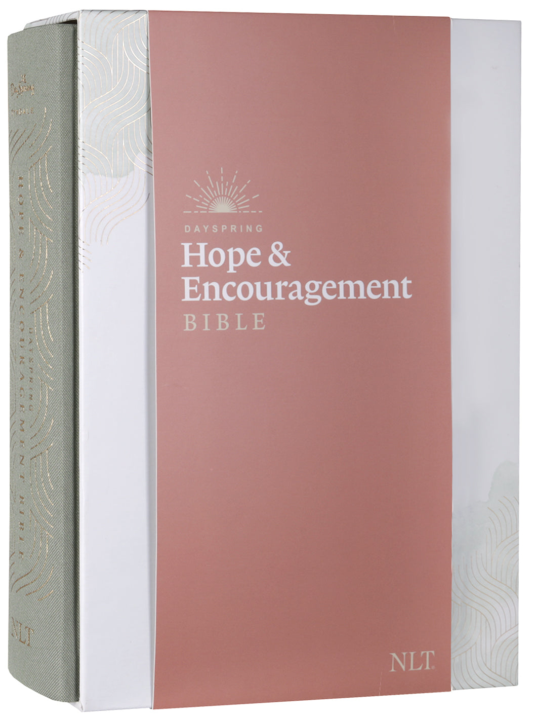 NLT Dayspring Hope & Encouragement Bible Seafoam Green