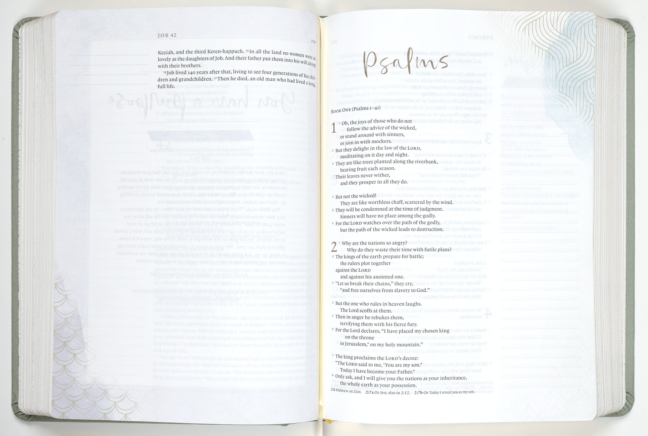 NLT Dayspring Hope & Encouragement Bible Seafoam Green
