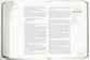 NLT Dayspring Hope & Encouragement Bible Seafoam Green