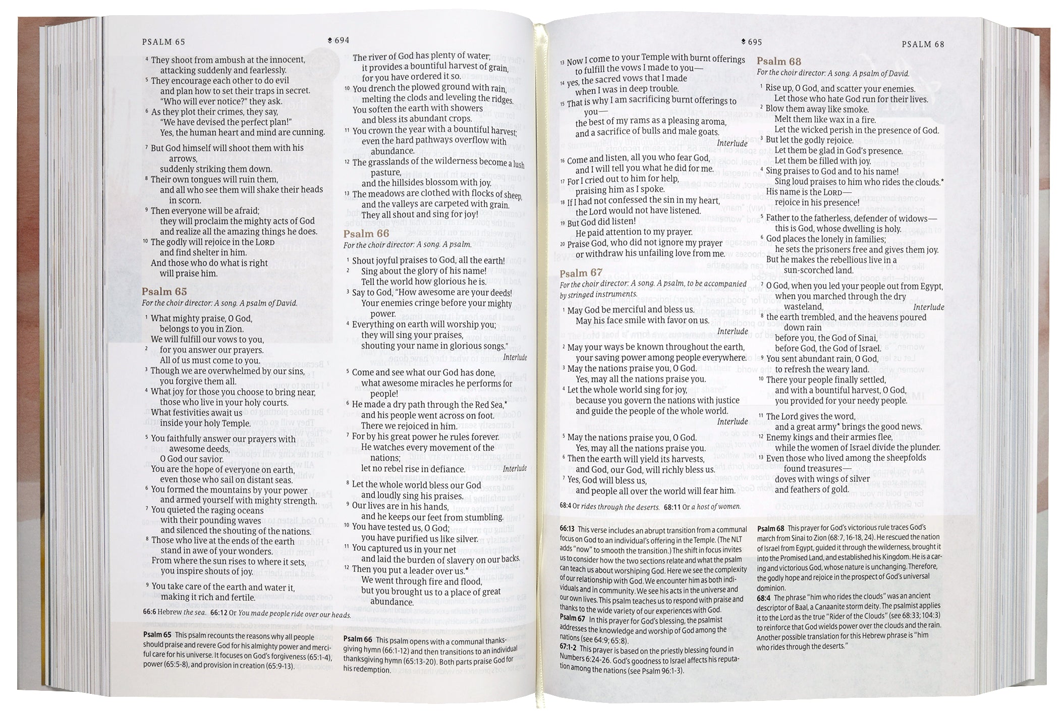 NLT Every Woman’s Bible Filament Enabled Gold Dust (Red Letter Edition)