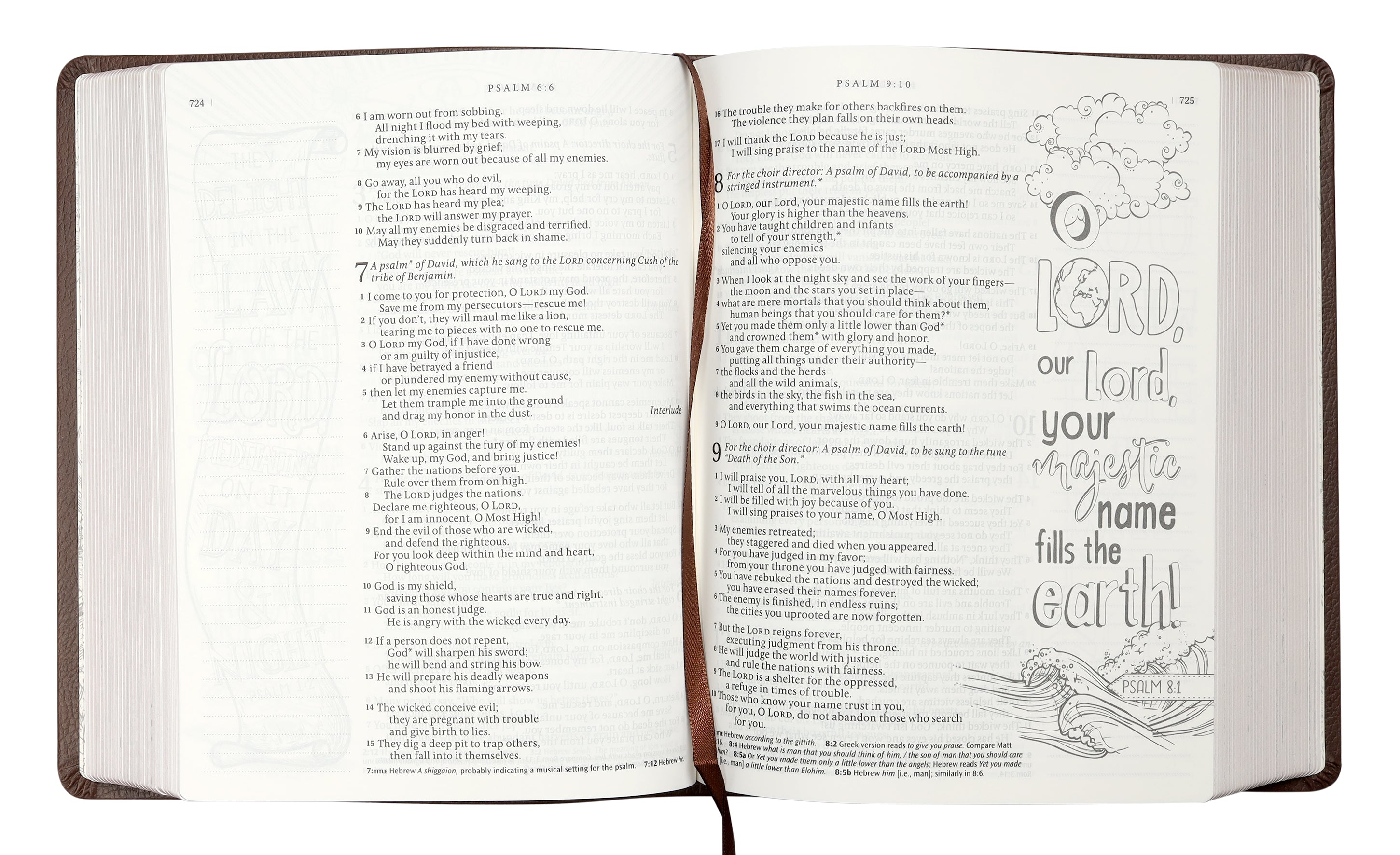 NLT Inspire Catholic Bible Dark Brown