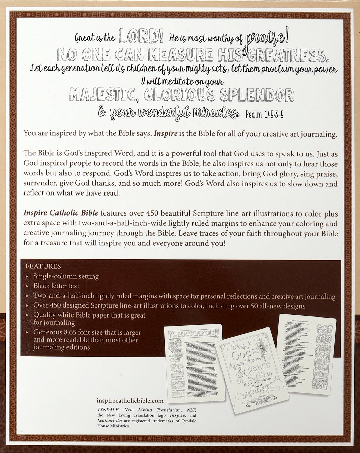 NLT Inspire Catholic Bible Dark Brown