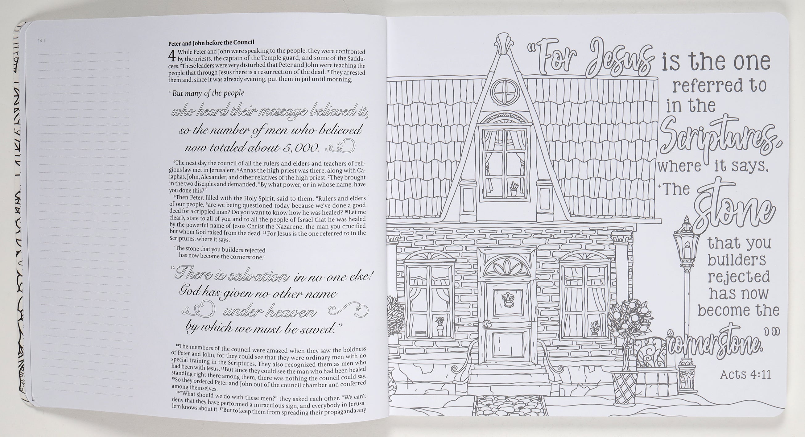 NLT Inspire Acts & Romans Coloring & Creative Journaling