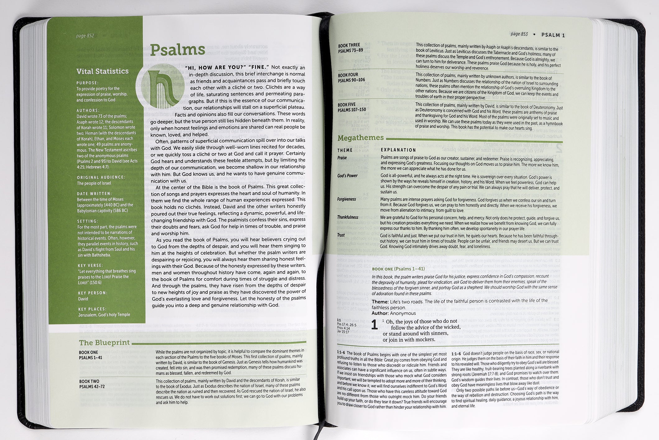 NLT Life Application Study Bible Black/Onyx (Red Letter Edition) (3rd Edition)