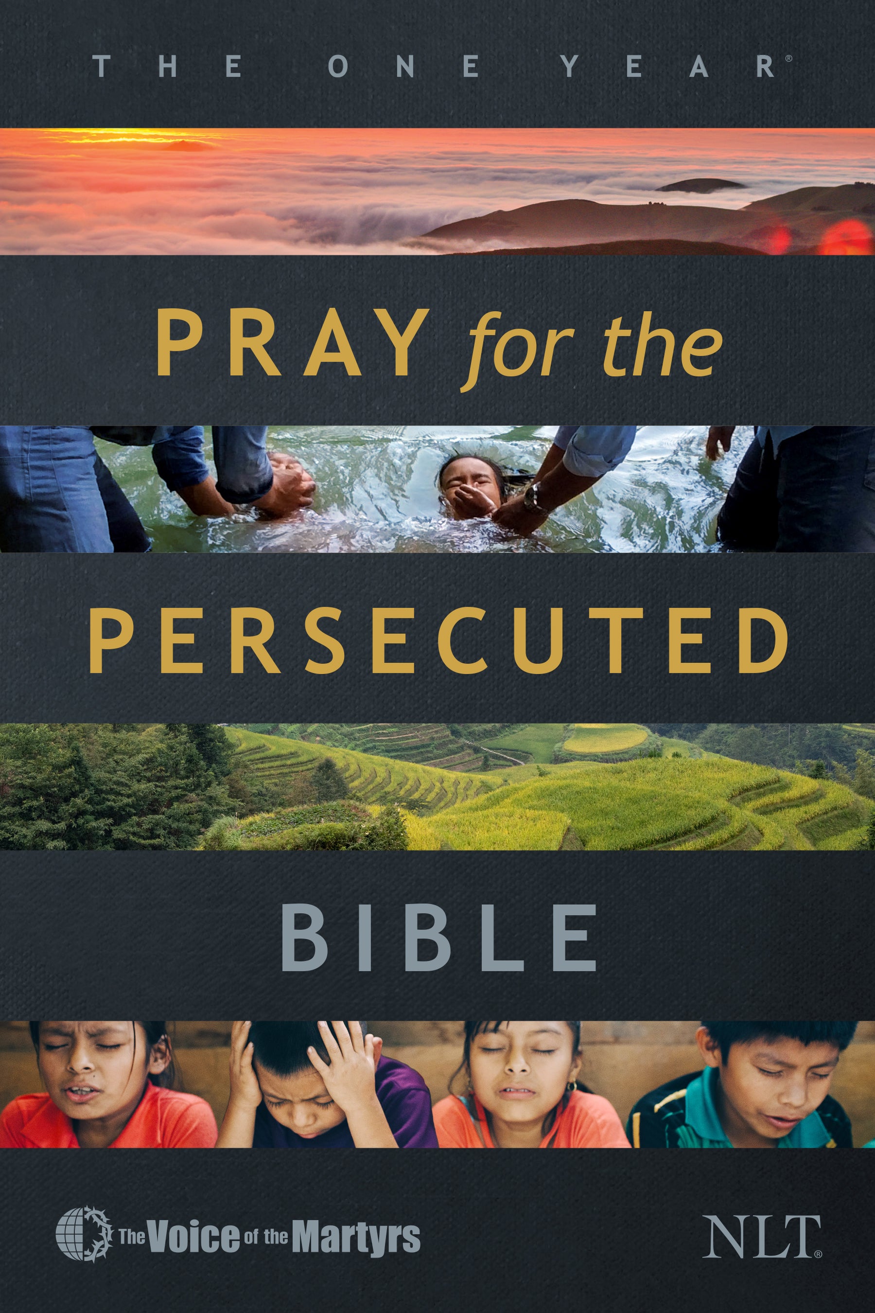 NLT One Year Pray For the Persecuted Bible (With Voice Of The Martyrs)