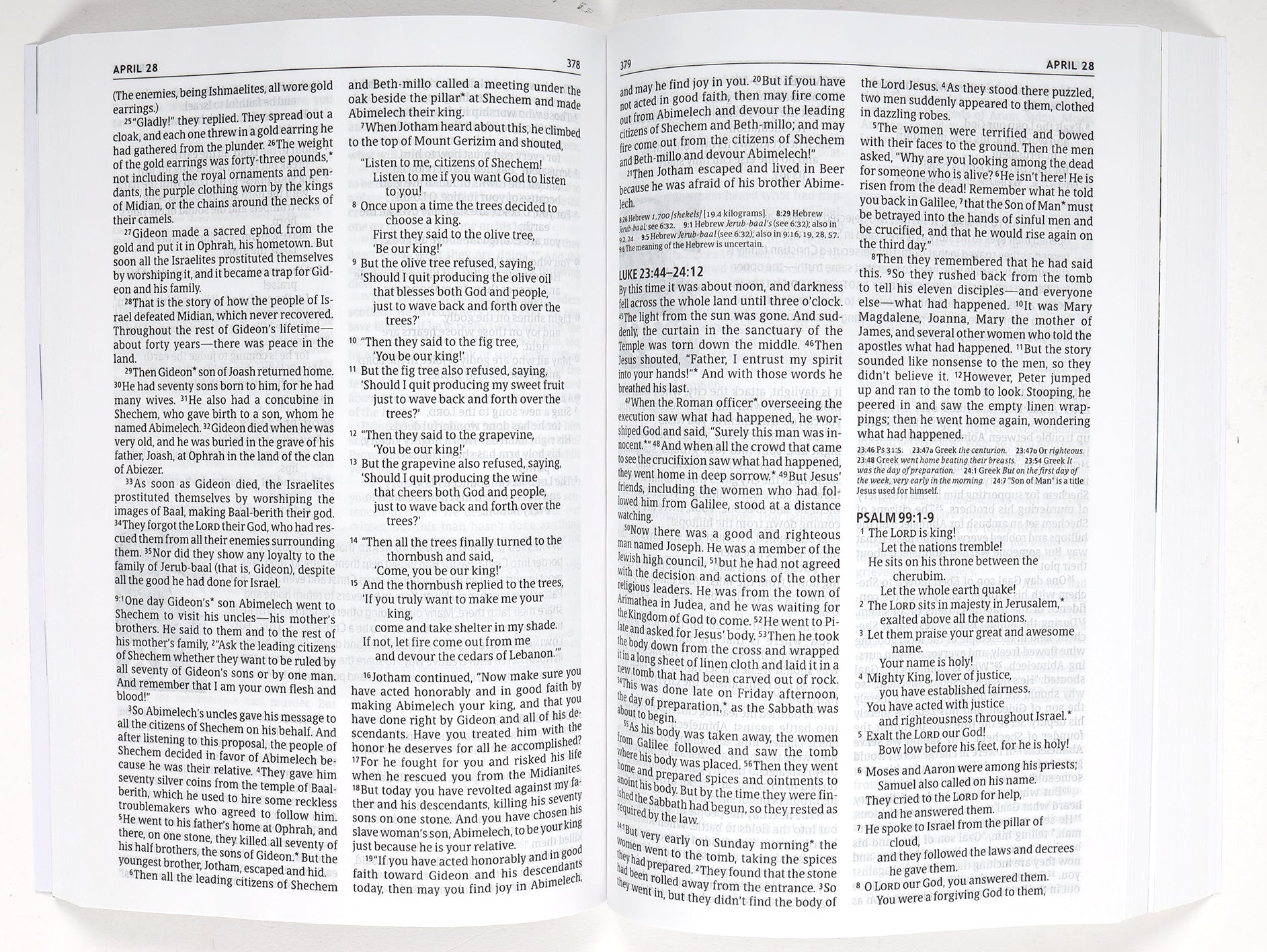 NLT One Year Pray For the Persecuted Bible (With Voice Of The Martyrs)