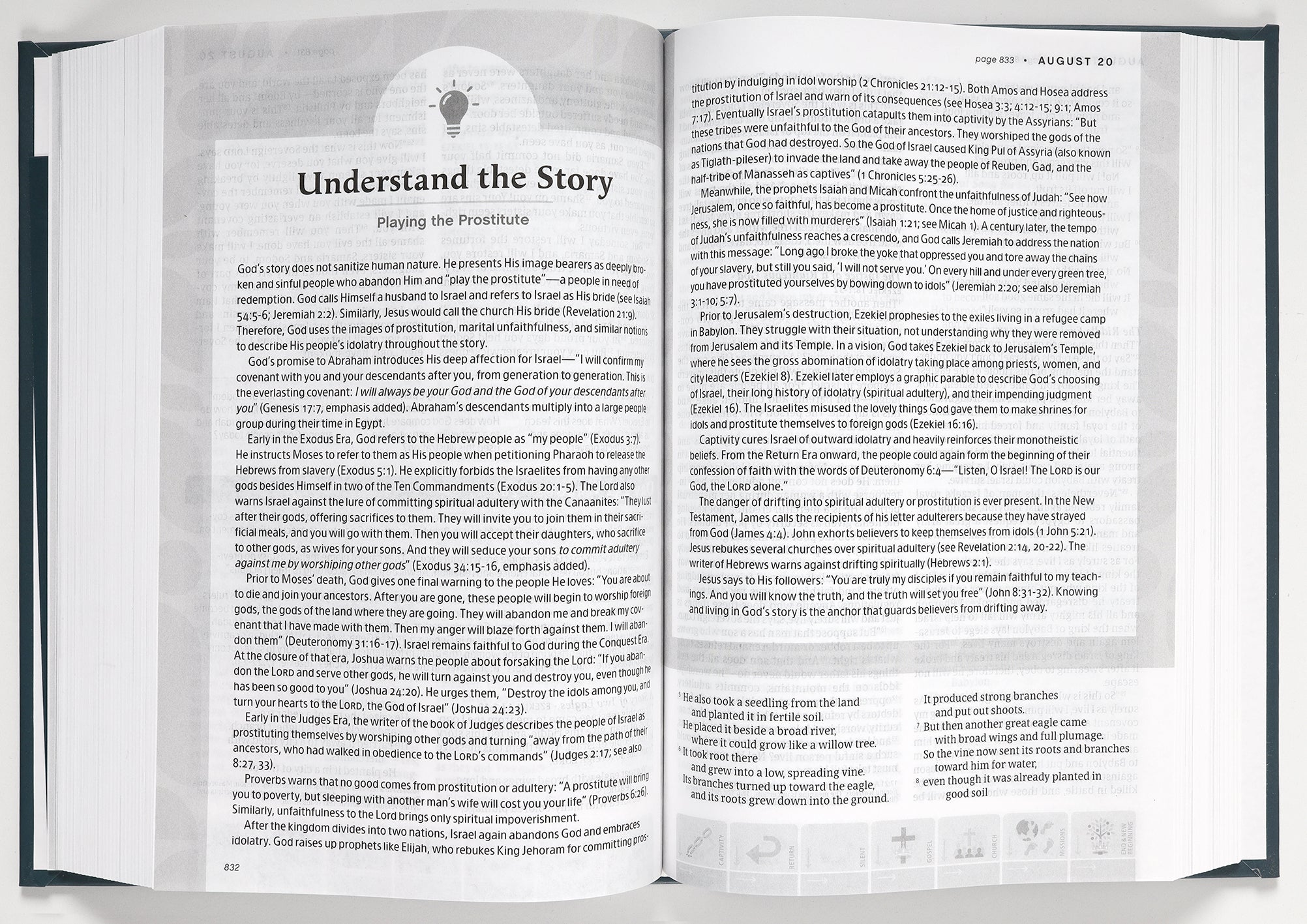 NLT One Year Chronological Study Bible
