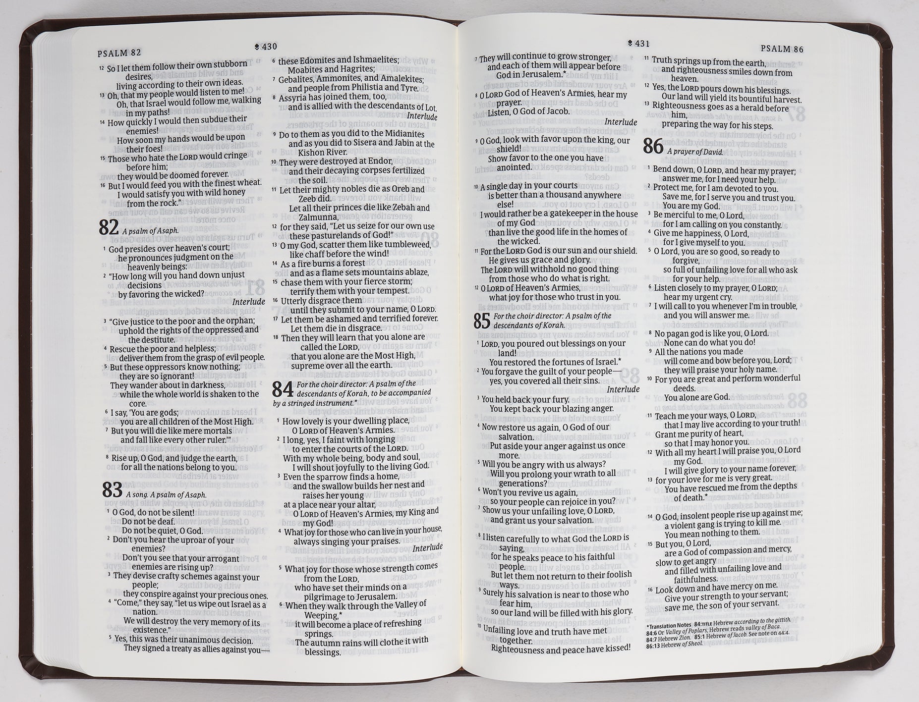 NLT Premium Value Thinline Bible Filament Enabled Edition Dark Brown Cross