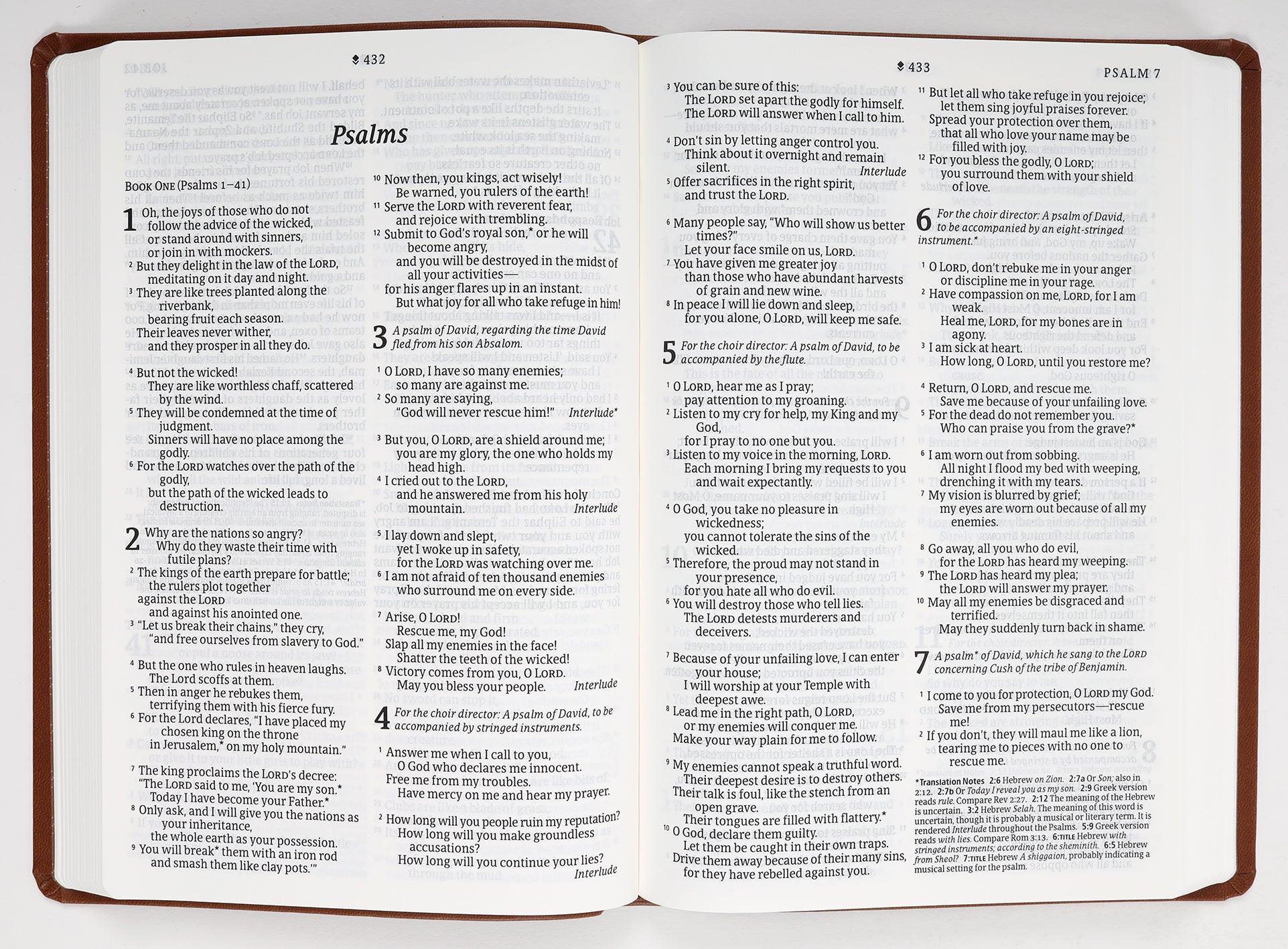 NLT Large Print Premium Value Thinline Bible Filament Enabled Edition Brown Celtic Cross