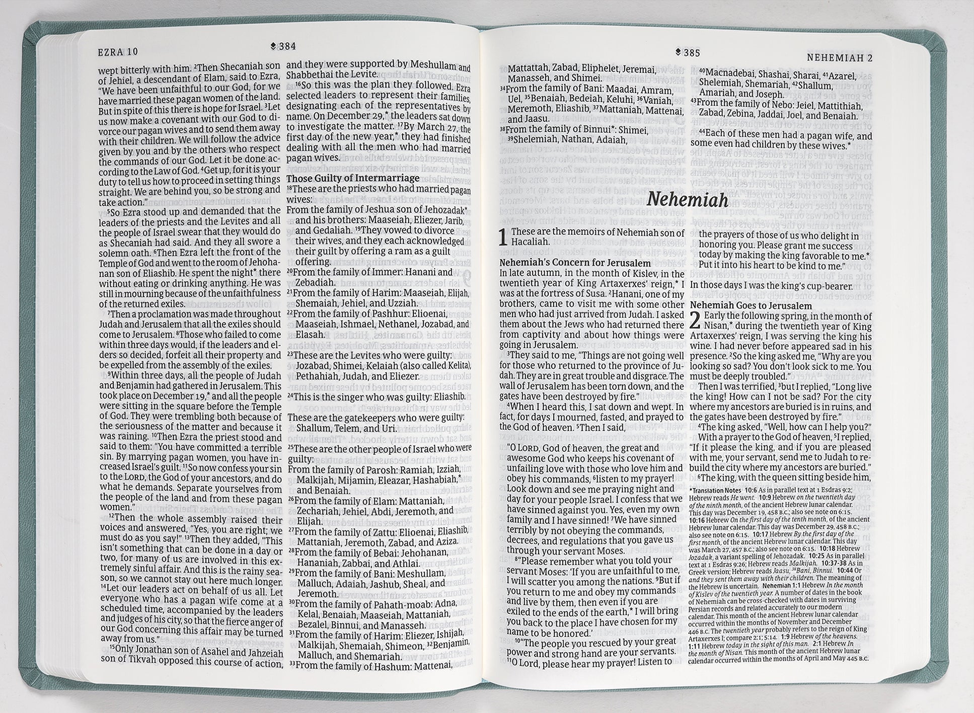 NLT Large Print Premium Value Thinline Bible Filament Enabled Edition Eucalyptus Teal