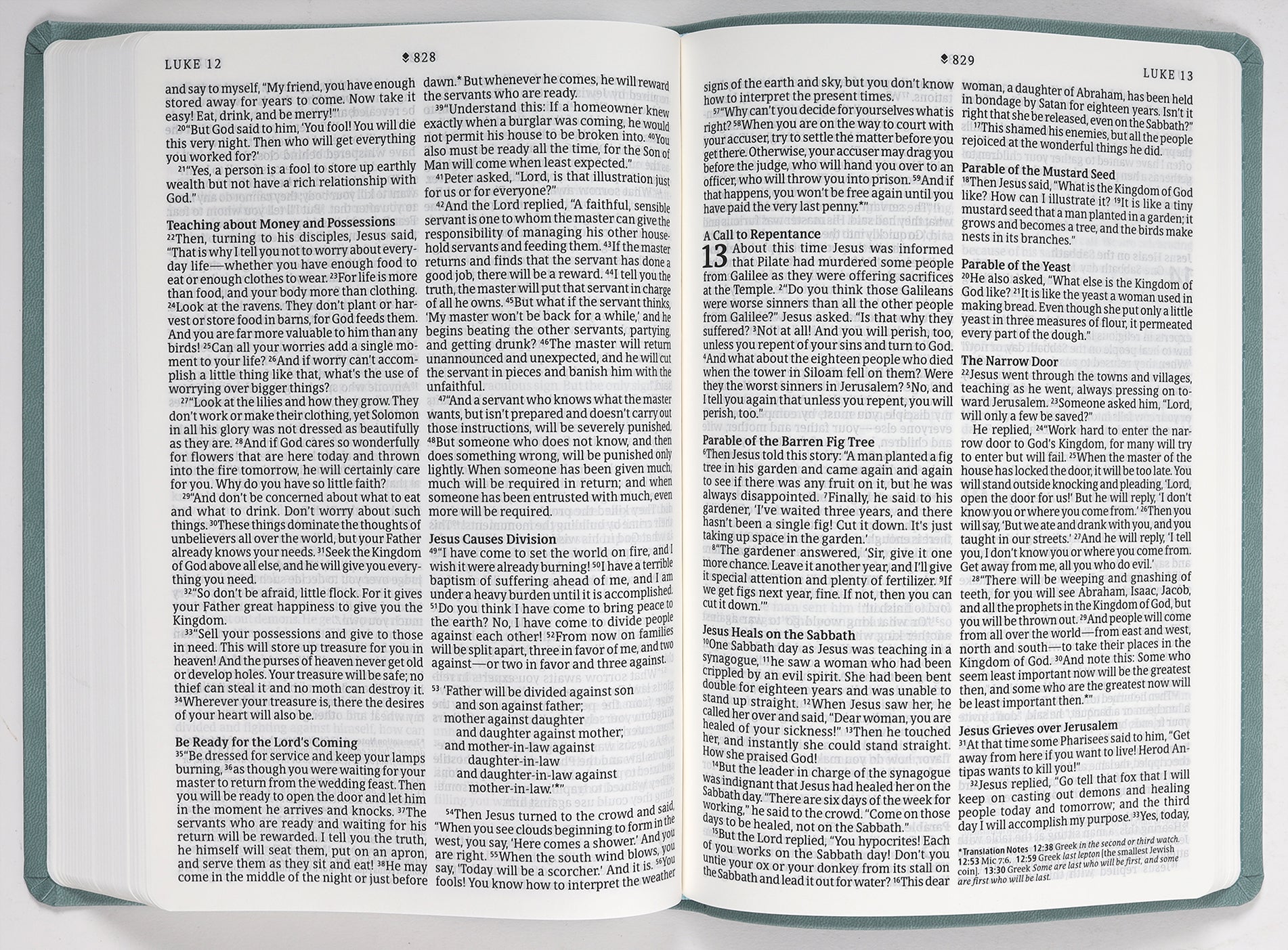 NLT Large Print Premium Value Thinline Bible Filament Enabled Edition Eucalyptus Teal