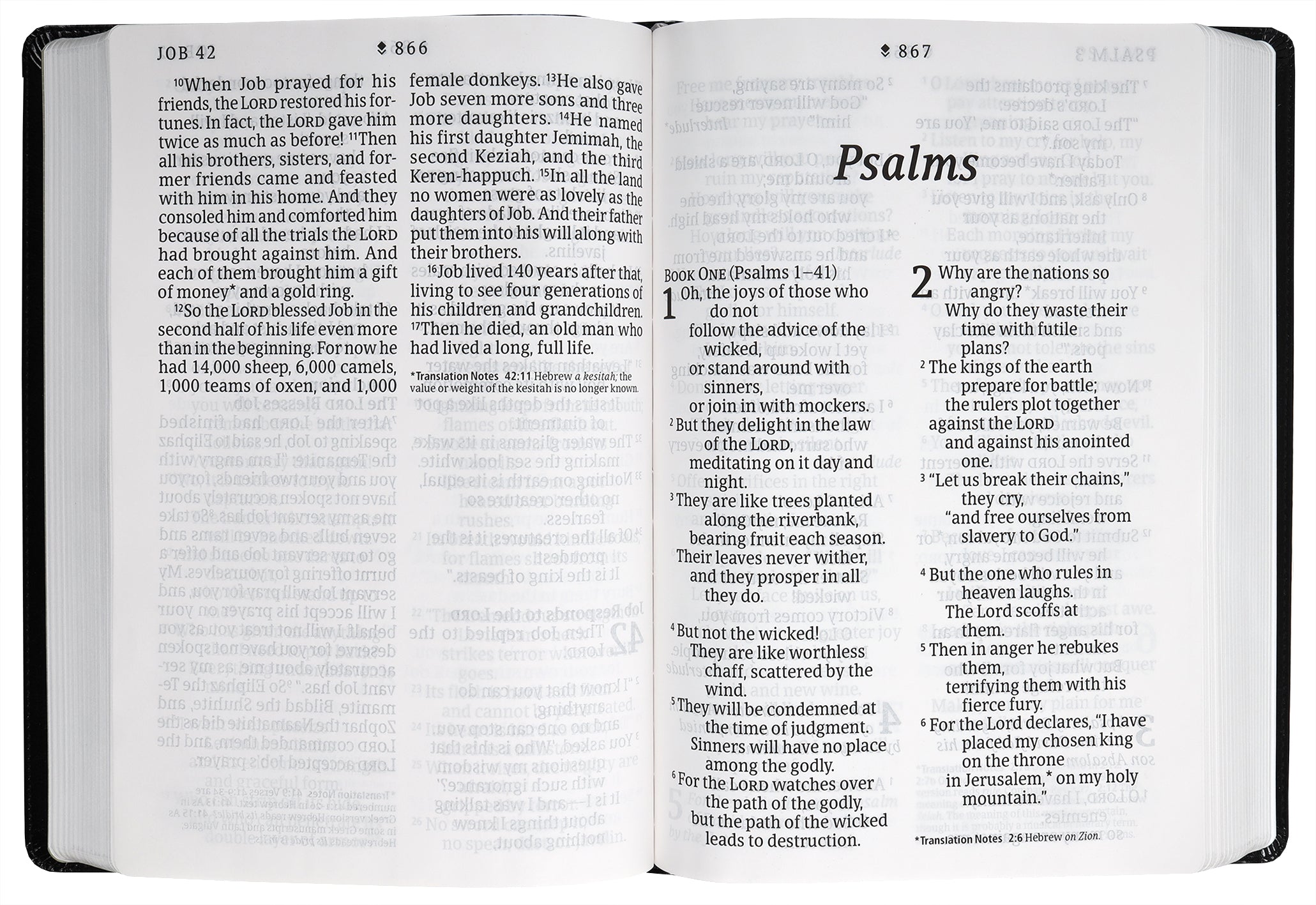 NLT Super Giant Print Bible Filament Enabled Edition Peony Rich Teal (Red Letter Edition)