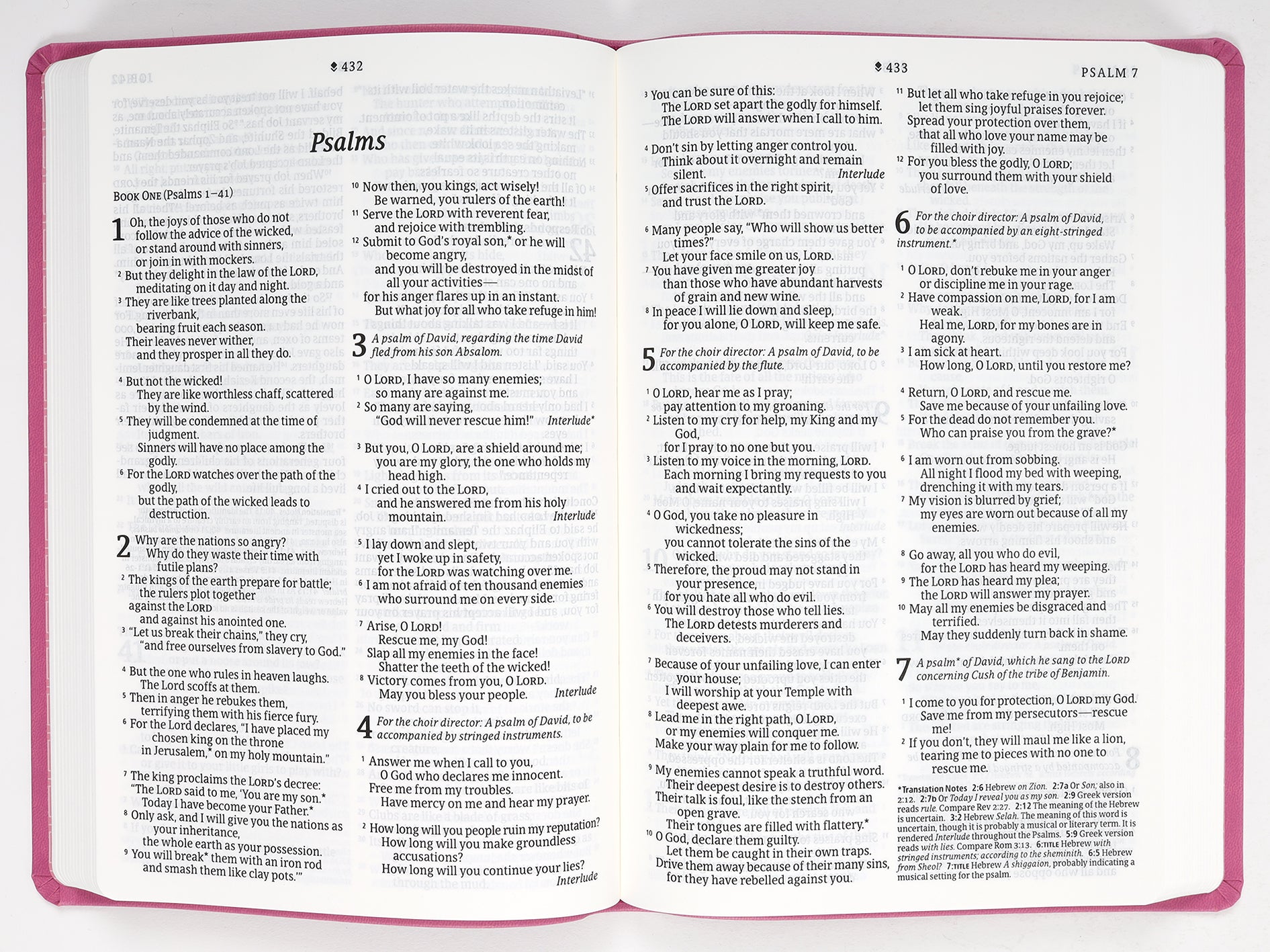 NLT Large Print Premium Value Thinline Bible Filament Enabled Edition Garden Pink