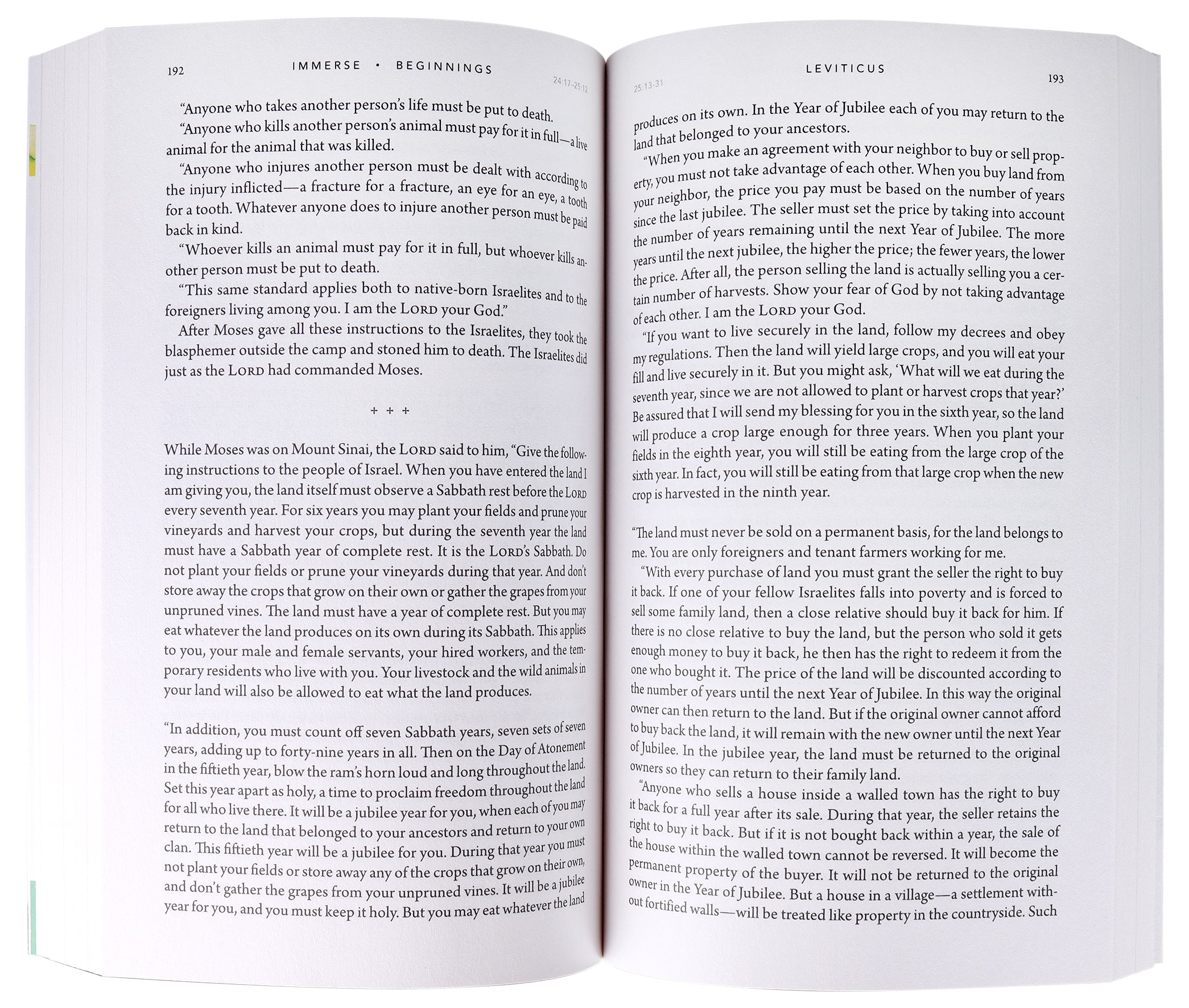NLT Immerse Beginnings