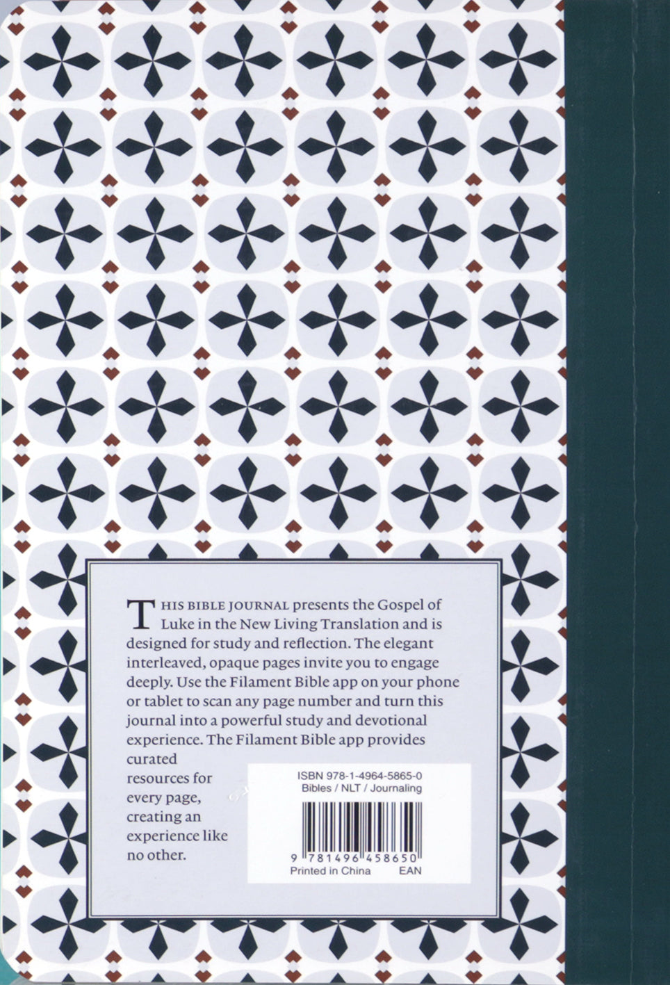 NLT Filament Bible Journal Luke
