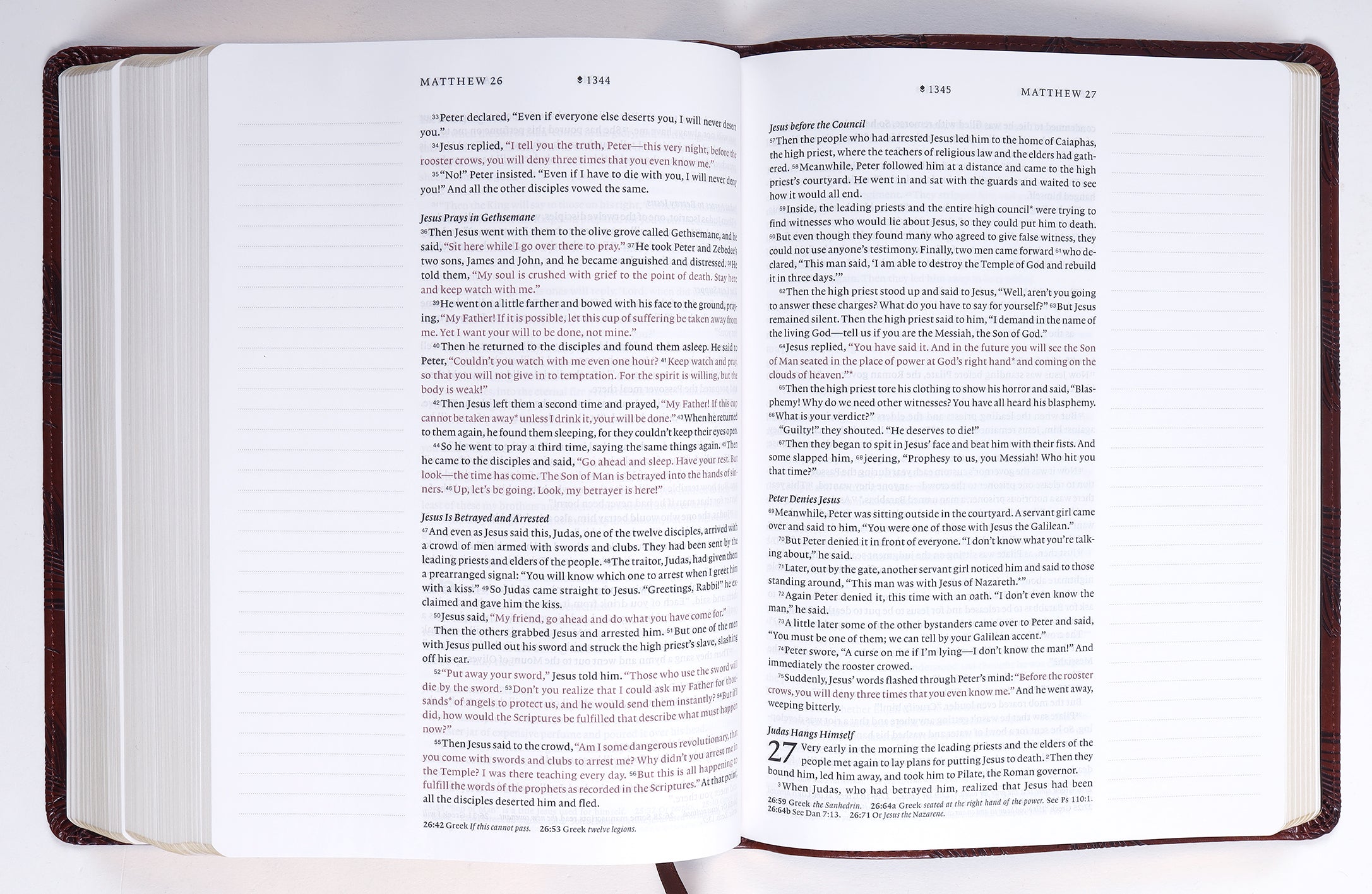 NLT Wide Margin Bible Filament Enabled Edition Dark Brown Palm (Red Letter Edition)