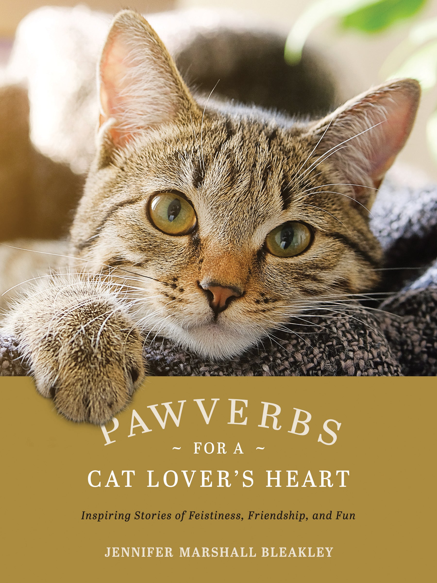 Pawverbs For a Cat Lover's Heart: Inspiring Stories of Feistiness, Friendship, and Fun