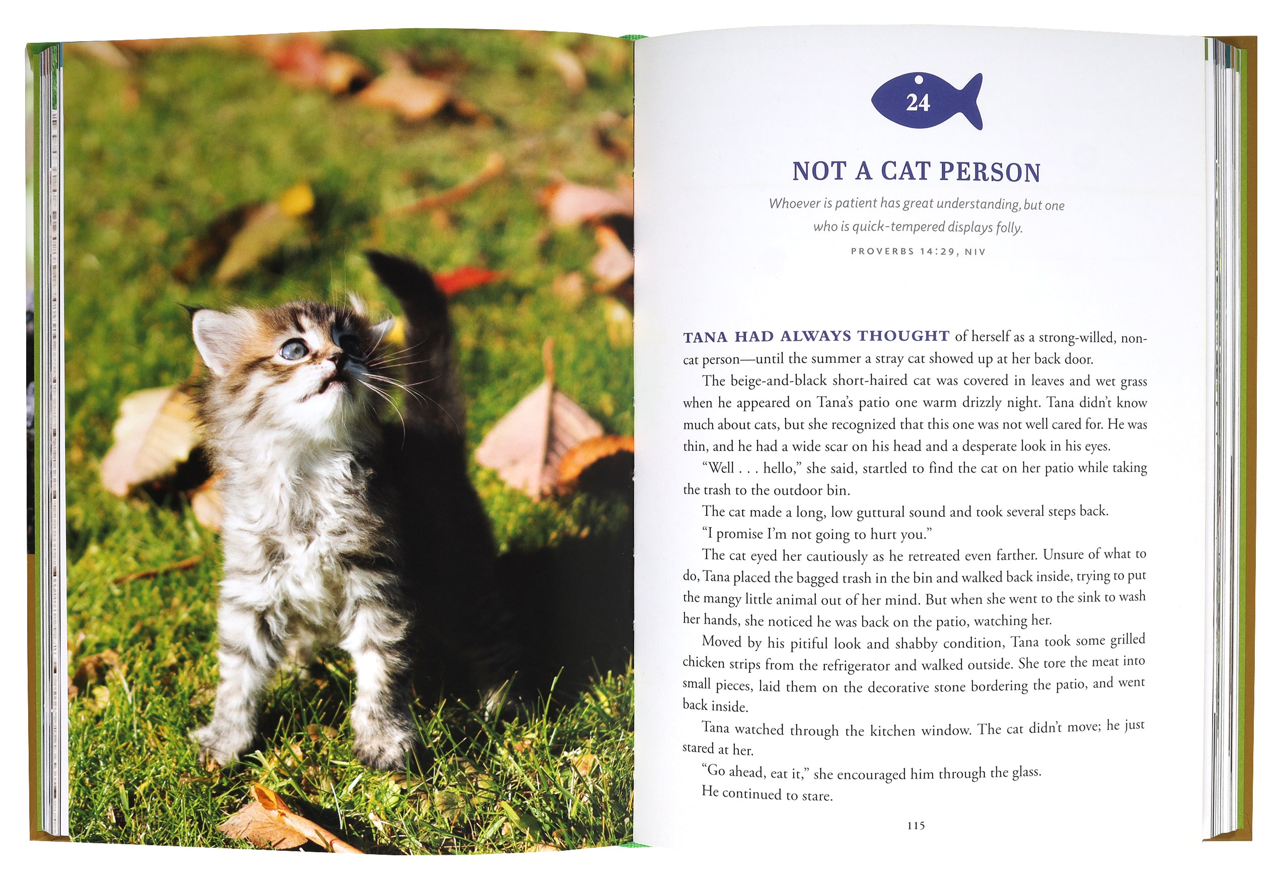 Pawverbs For a Cat Lover's Heart: Inspiring Stories of Feistiness, Friendship, and Fun