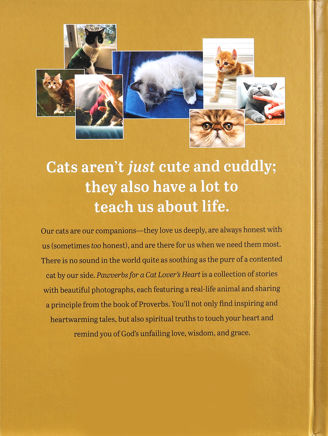Pawverbs For a Cat Lover's Heart: Inspiring Stories of Feistiness, Friendship, and Fun