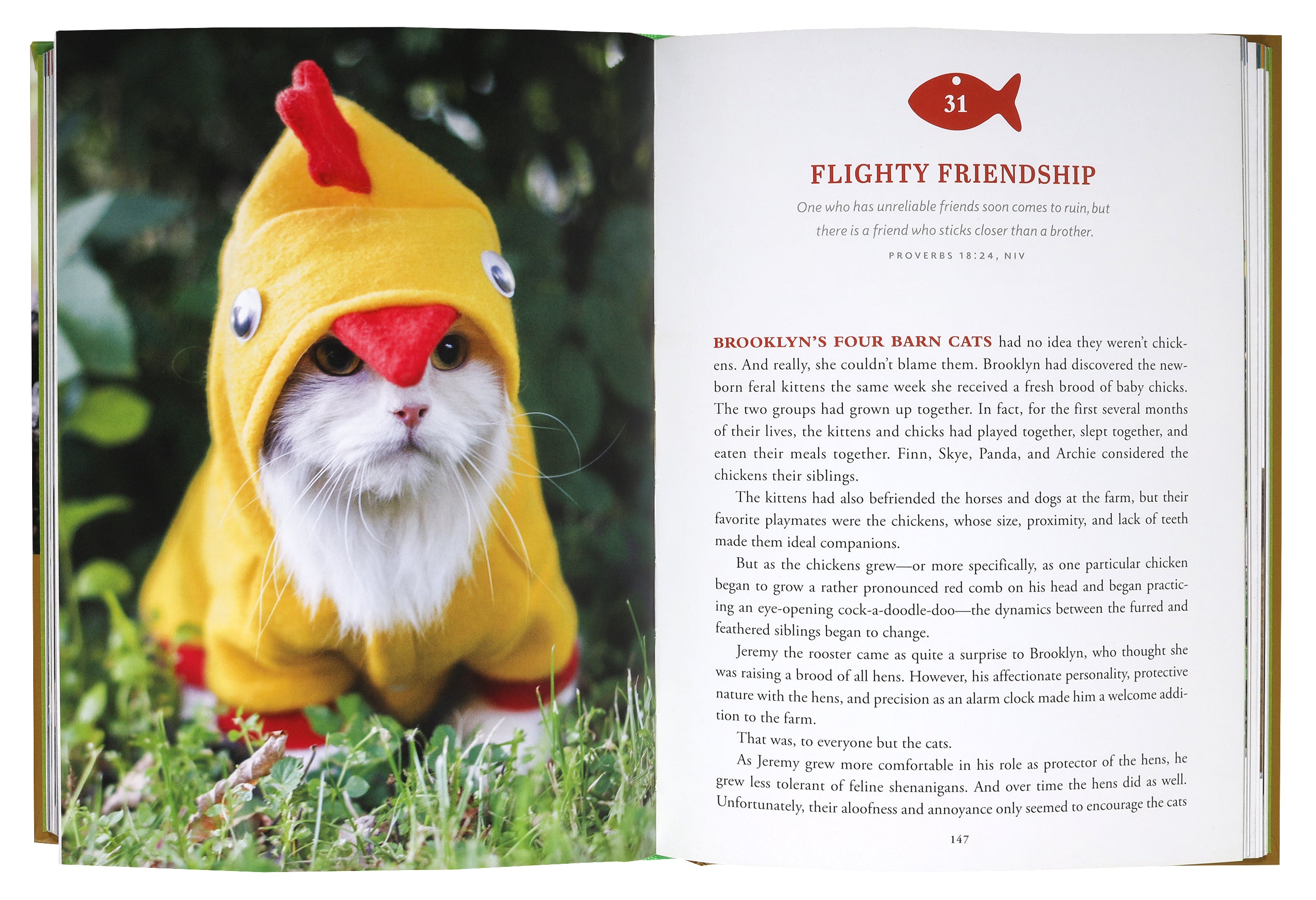 Pawverbs For a Cat Lover's Heart: Inspiring Stories of Feistiness, Friendship, and Fun