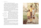 Establishing Home: Creating Space For a Beautiful Life With Family, Faith, and Friends