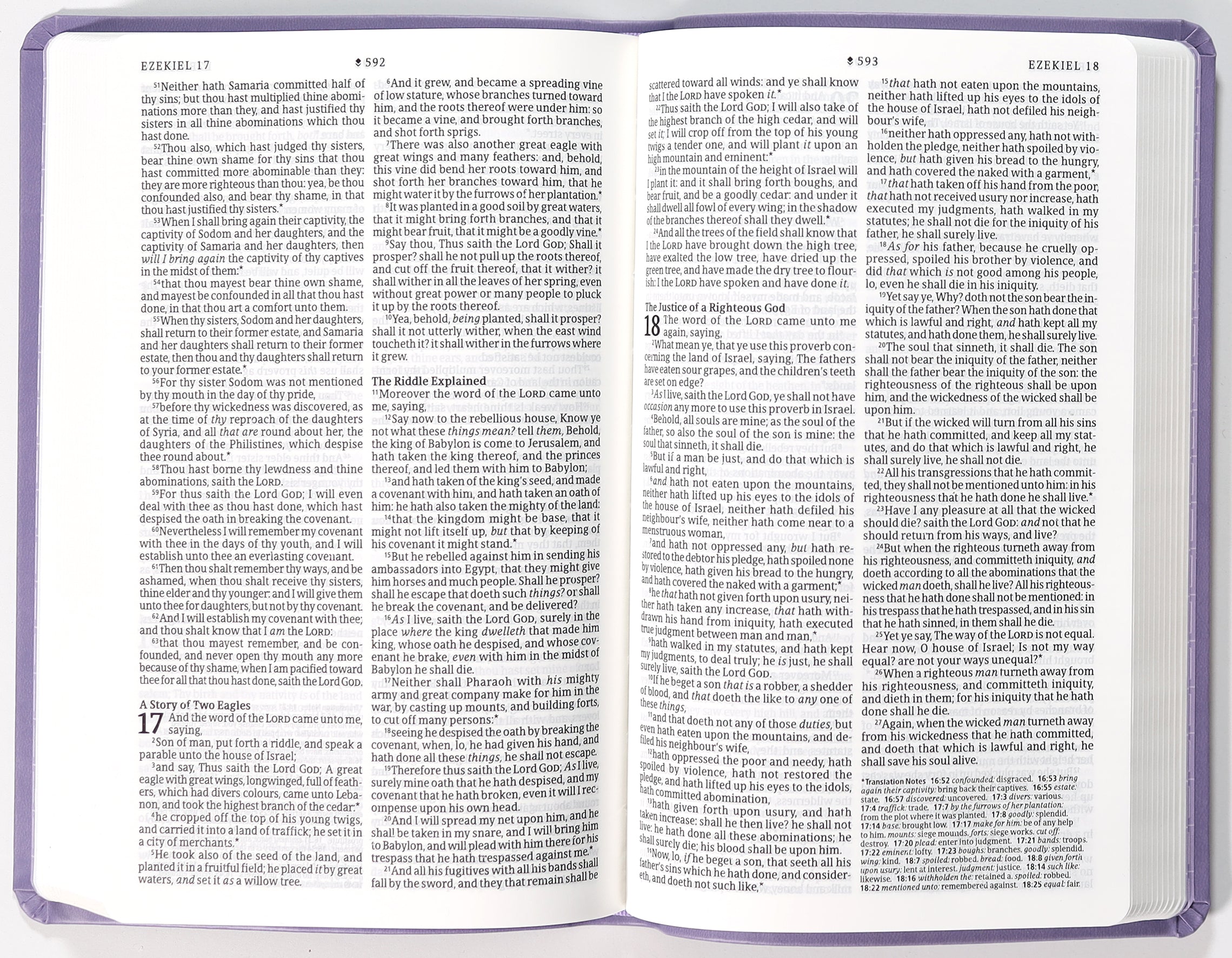 KJV Premium Value Thinline Bible Filament Enabled Edition Garden Lavender (Red Letter Edition)