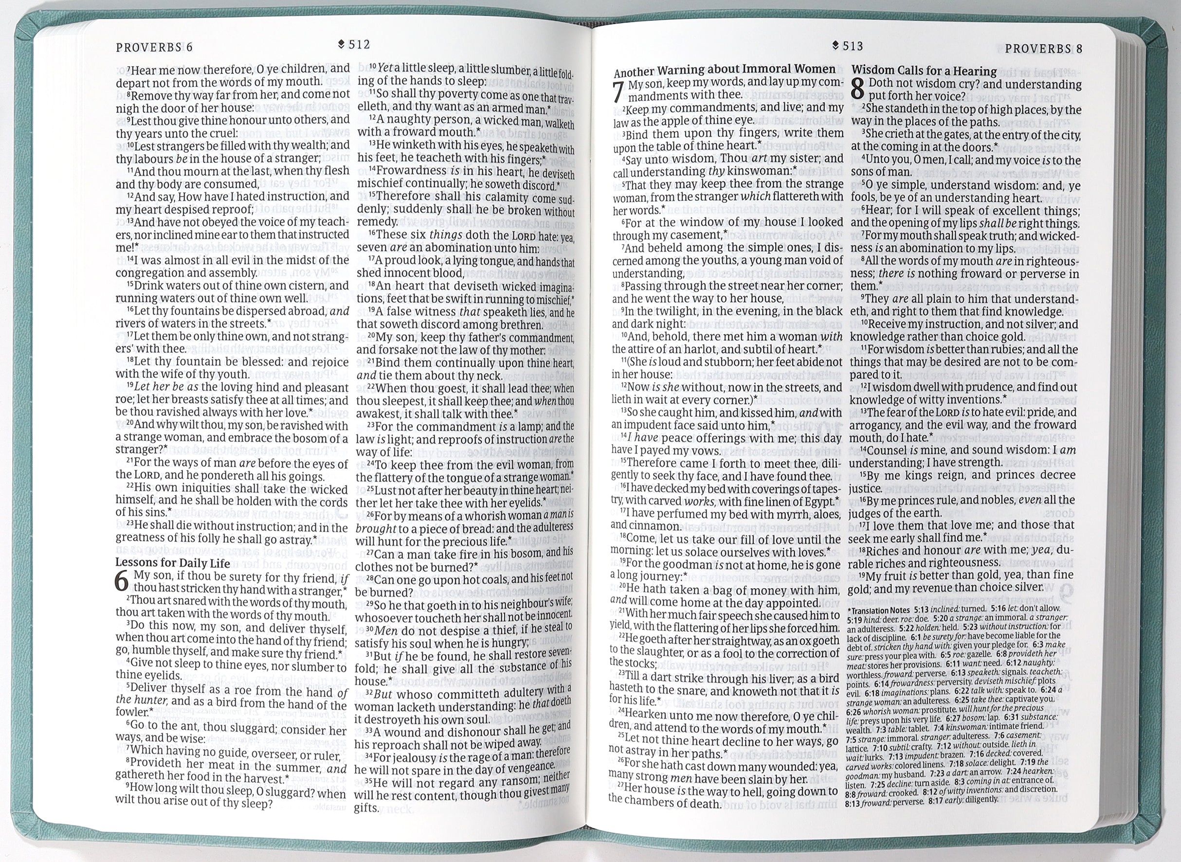 KJV Large Print Premium Value Thinline Bible Filament Enabled Edition Floral Wreath Teal (Red Letter Edition)