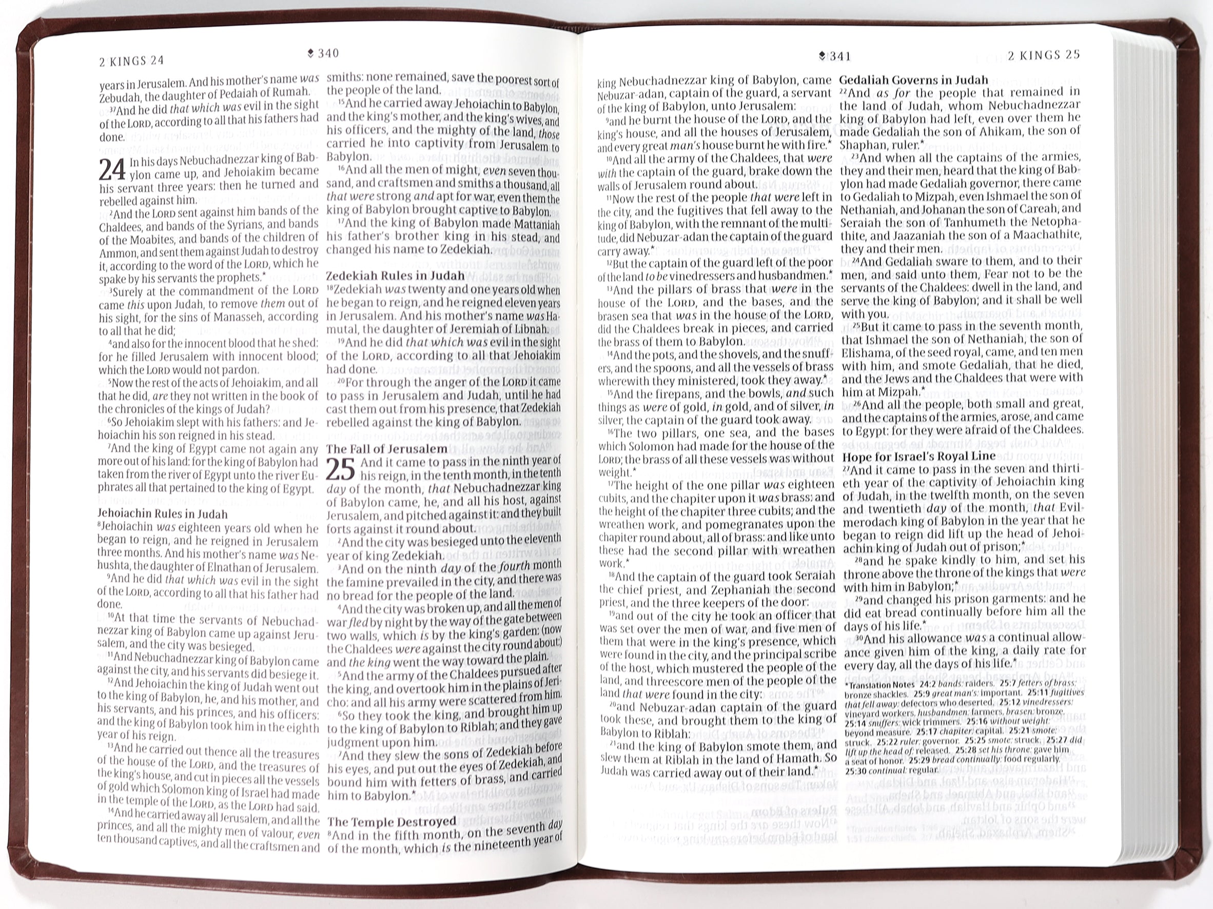 KJV Large Print Premium Value Thinline Bible Filament Enabled Edition Dark Brown Tile (Red Letter Edition)