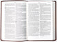 KJV Large Print Premium Value Thinline Bible Filament Enabled Edition Dark Brown Tile (Red Letter Edition)