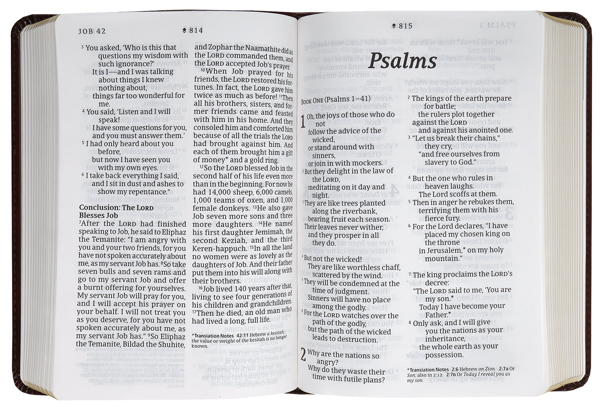 NLT Compact Giant Print Bible Filament Enabled Edition Peony Rich Teal (Red Letter Edition)