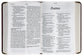 NLT Compact Giant Print Bible Filament Enabled Edition Peony Rich Teal (Red Letter Edition)