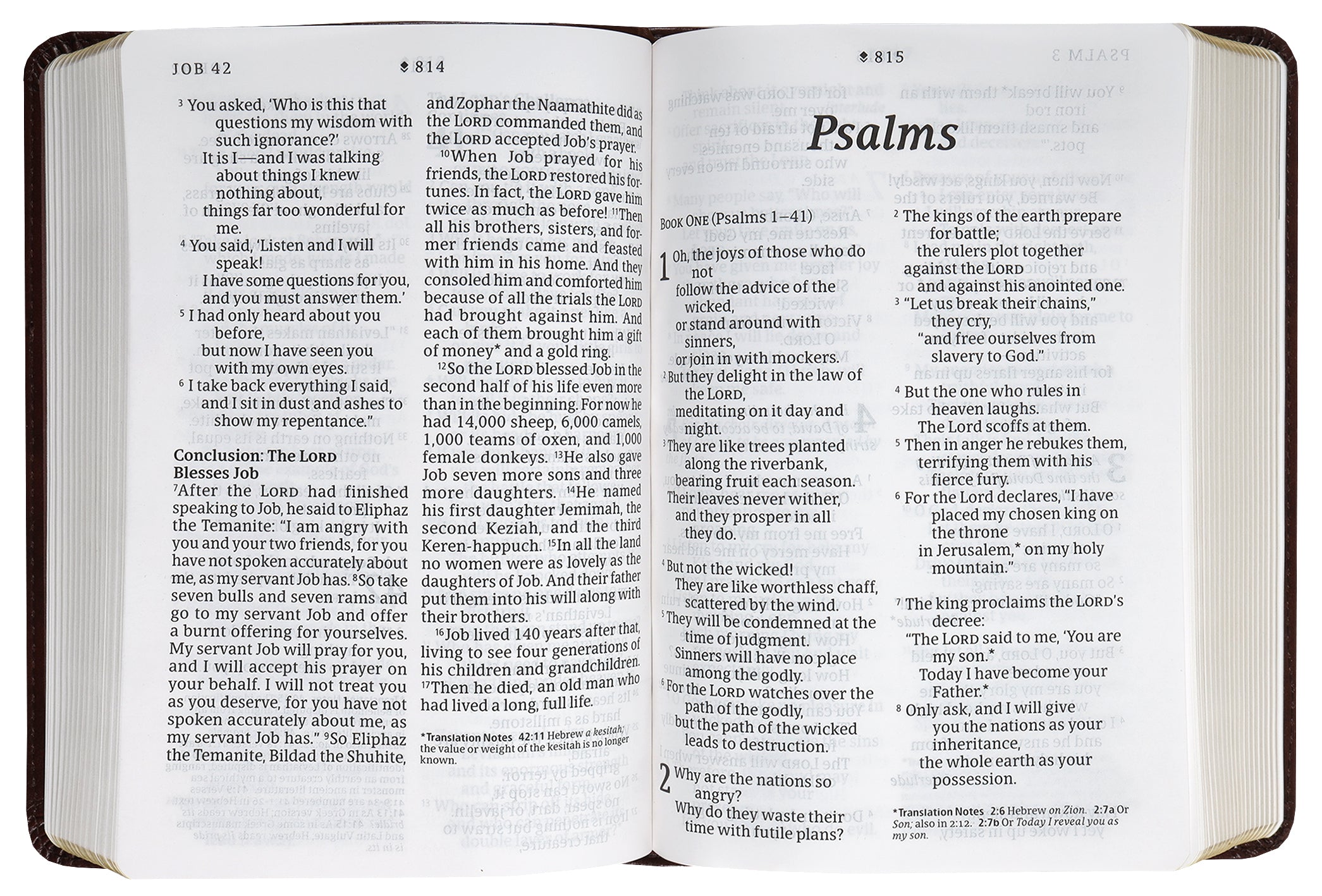 NLT Compact Giant Print Bible Filament Enabled Edition Navy Blue Cross (Red Letter Edition)